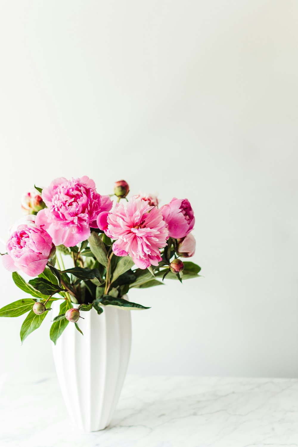 pink flowers in white ceramic vase