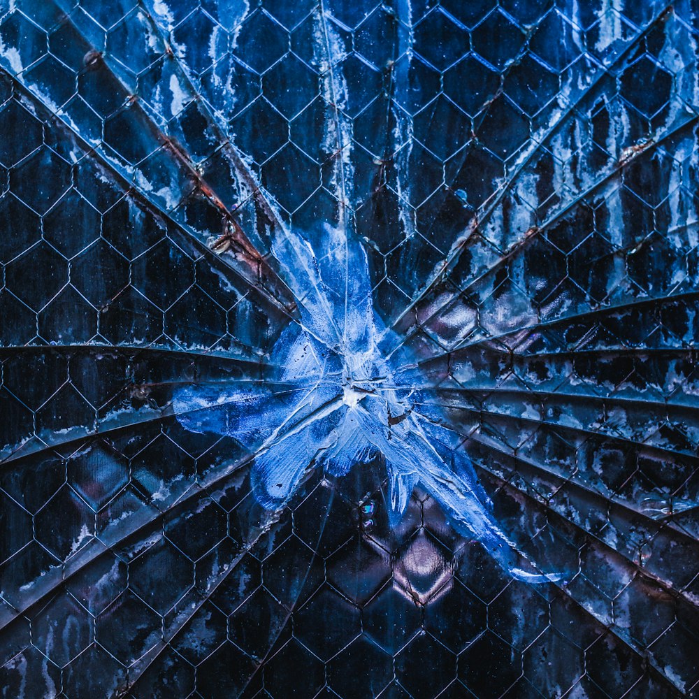 blue spider web on black metal fence