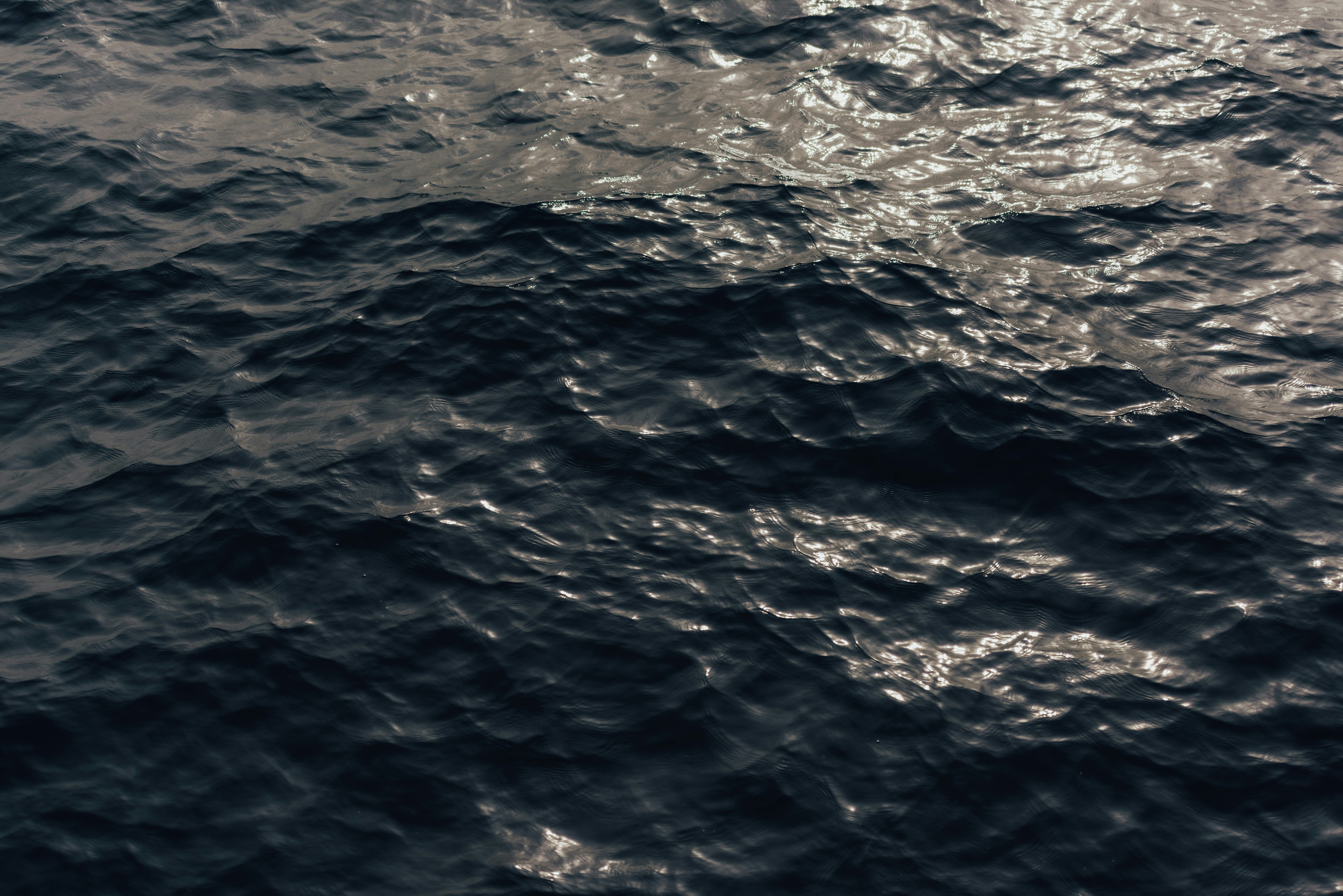 Photo by benkarpinski