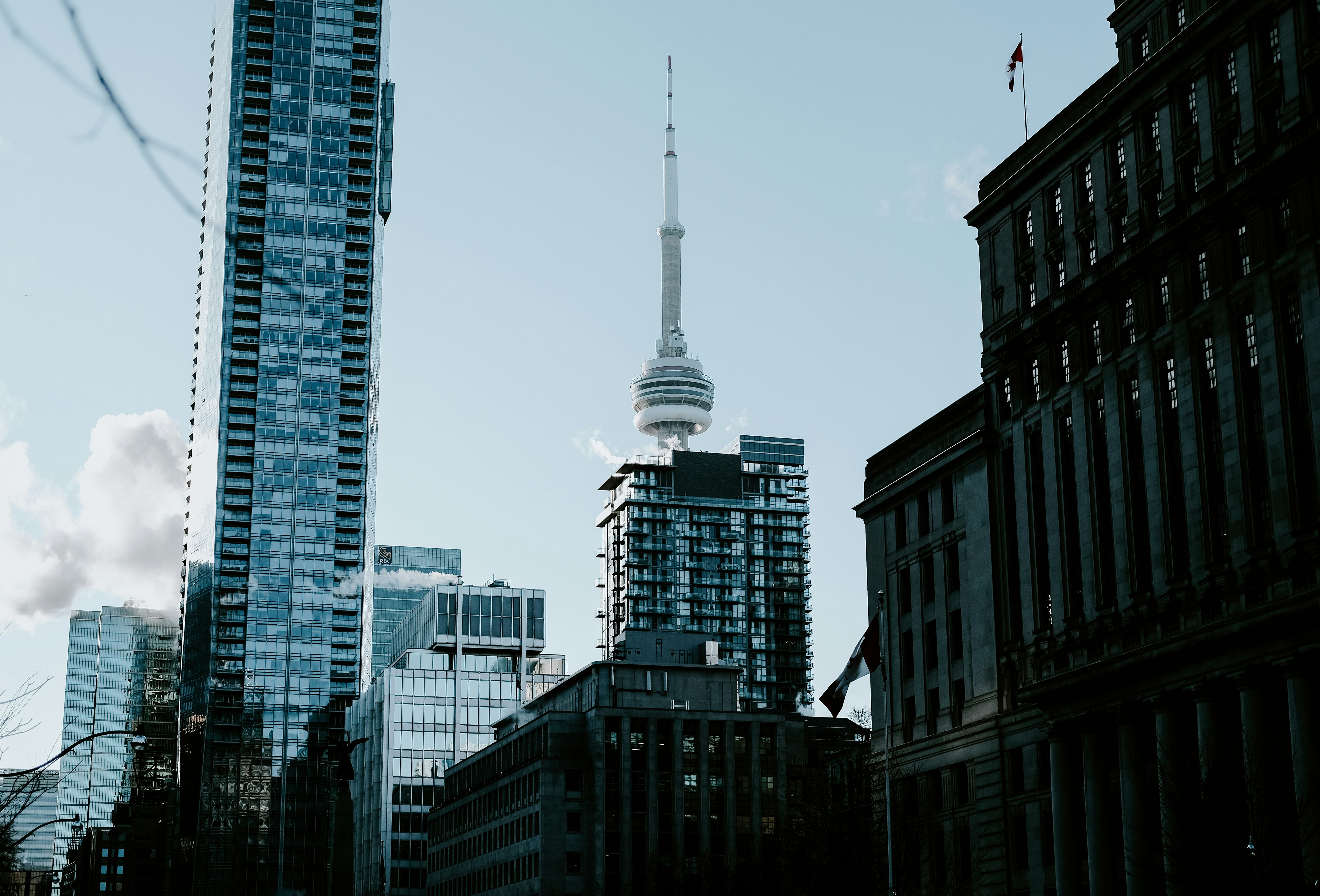 A group of entrepreneurs in a modern startup office in Toronto