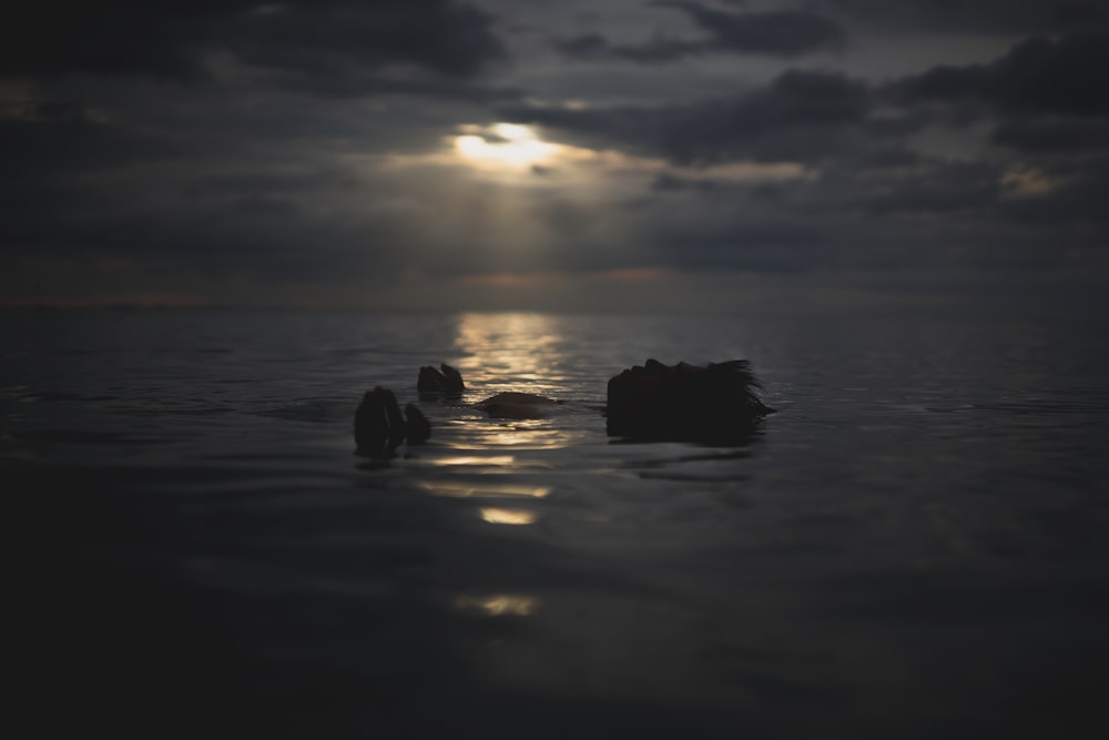 silhouette of rocks on water during sunset