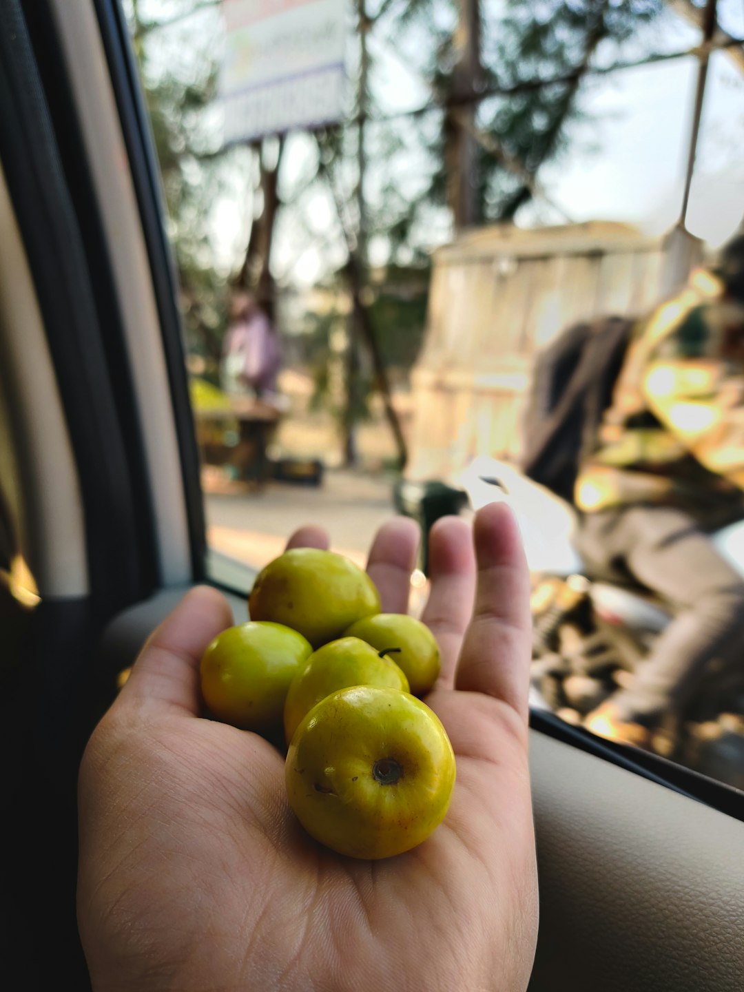 green apple fruit on persons hand