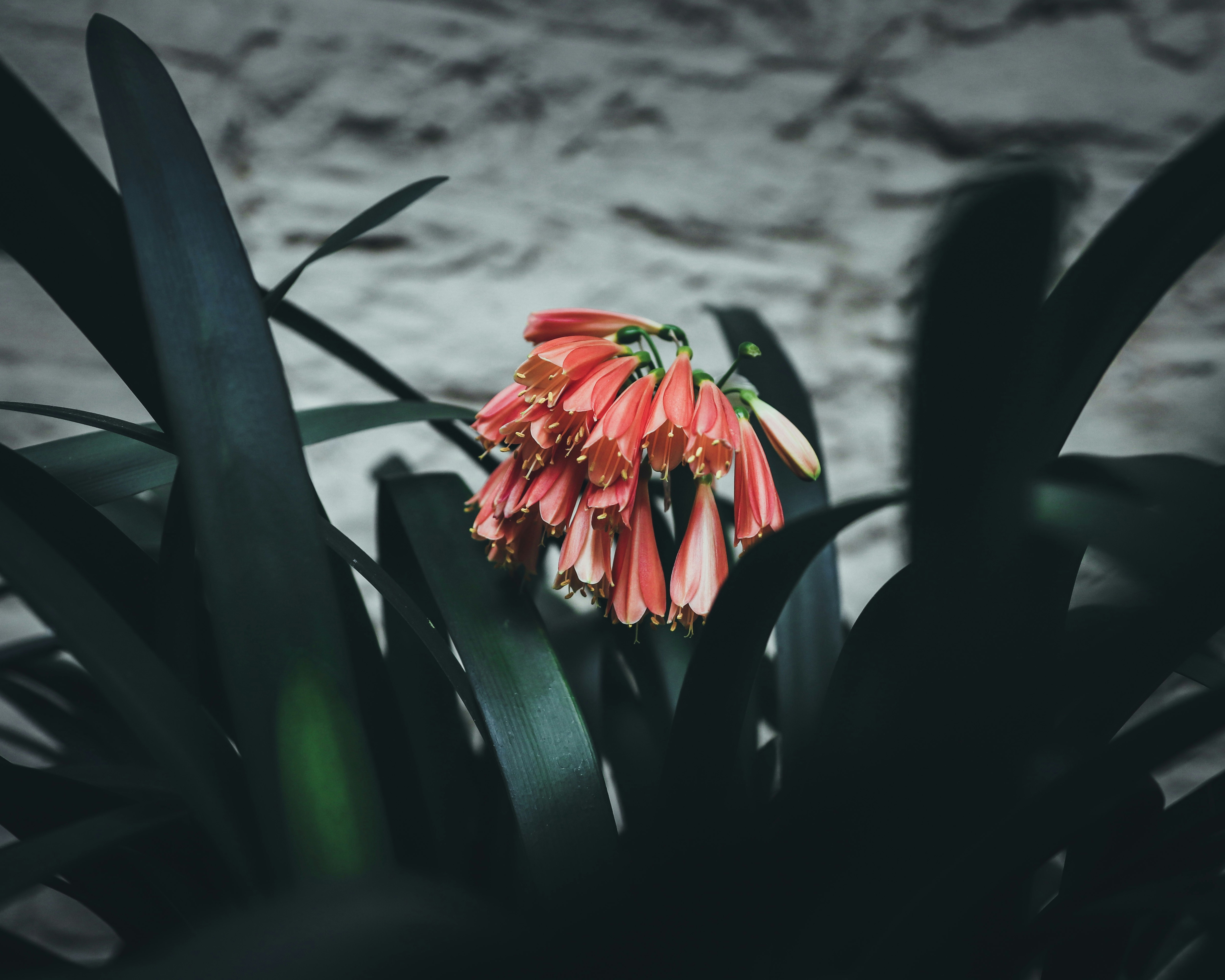 Photo by create4eyes