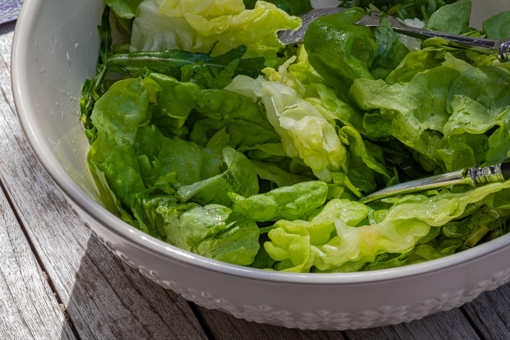 green vegetable in white plastic bowl