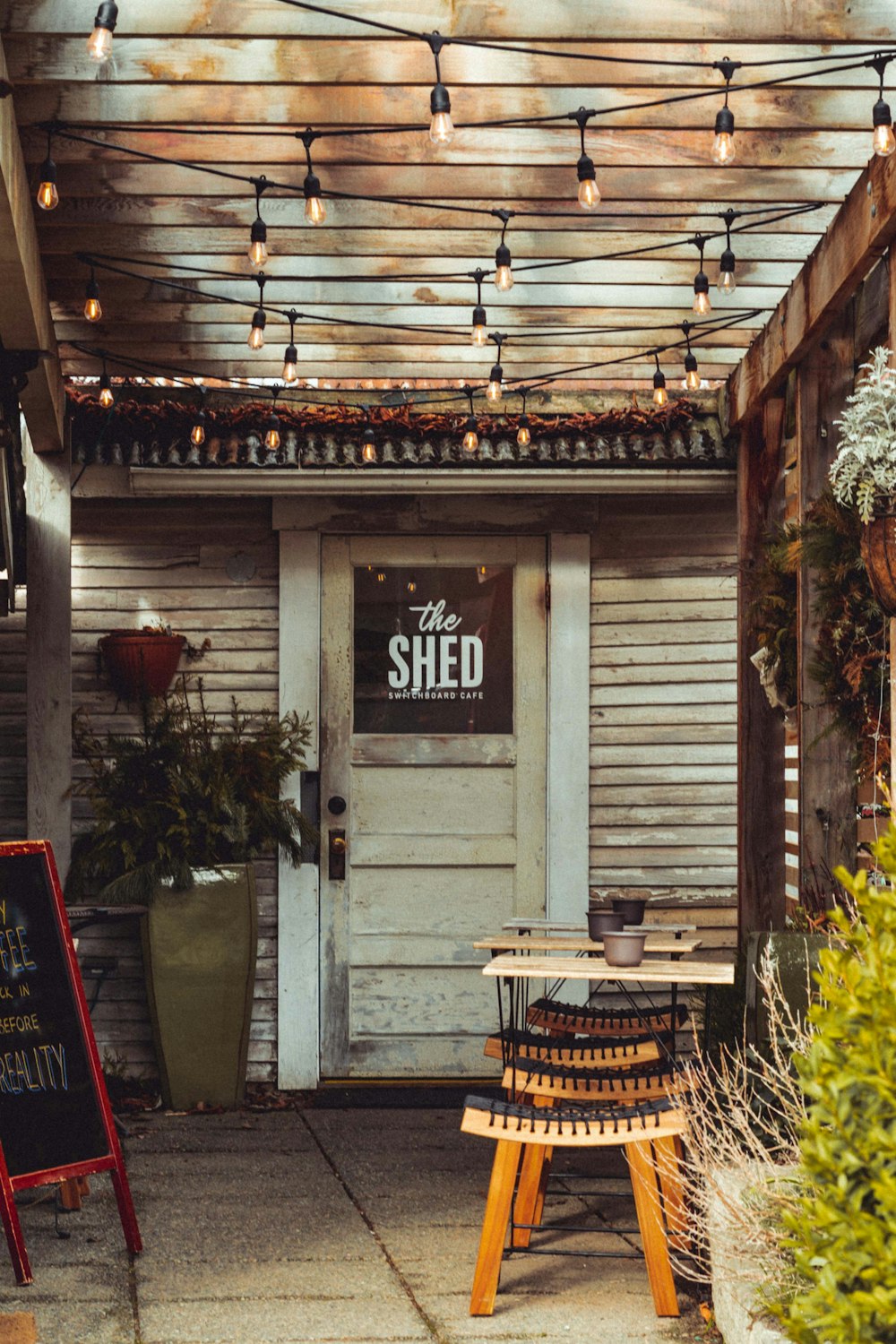 brown wooden bench near green plants