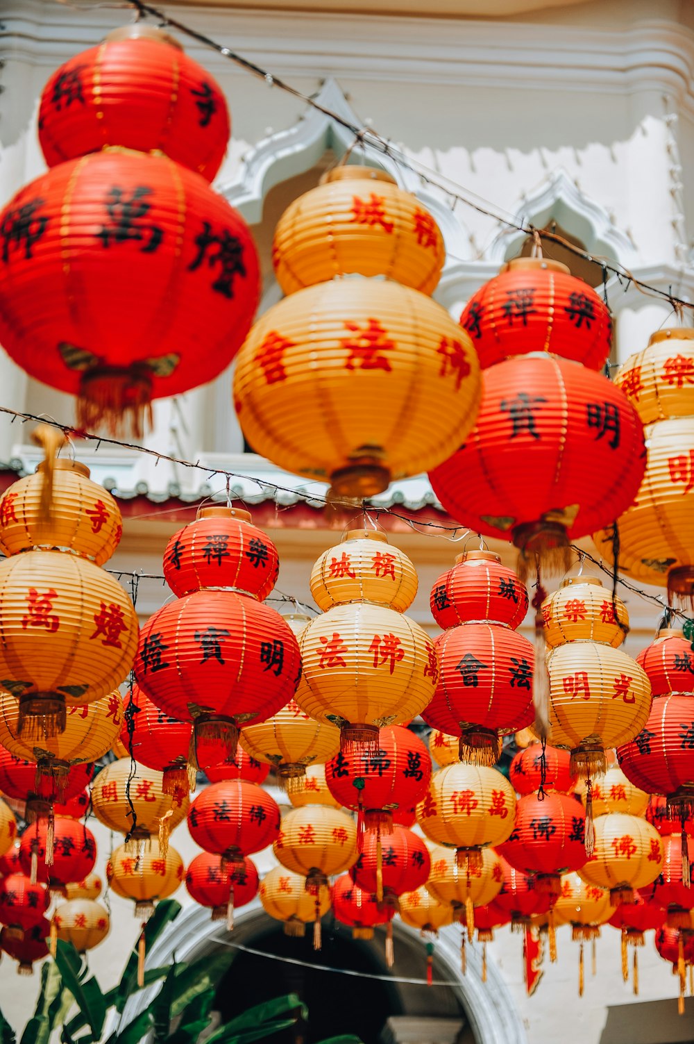 red and white paper lanterns