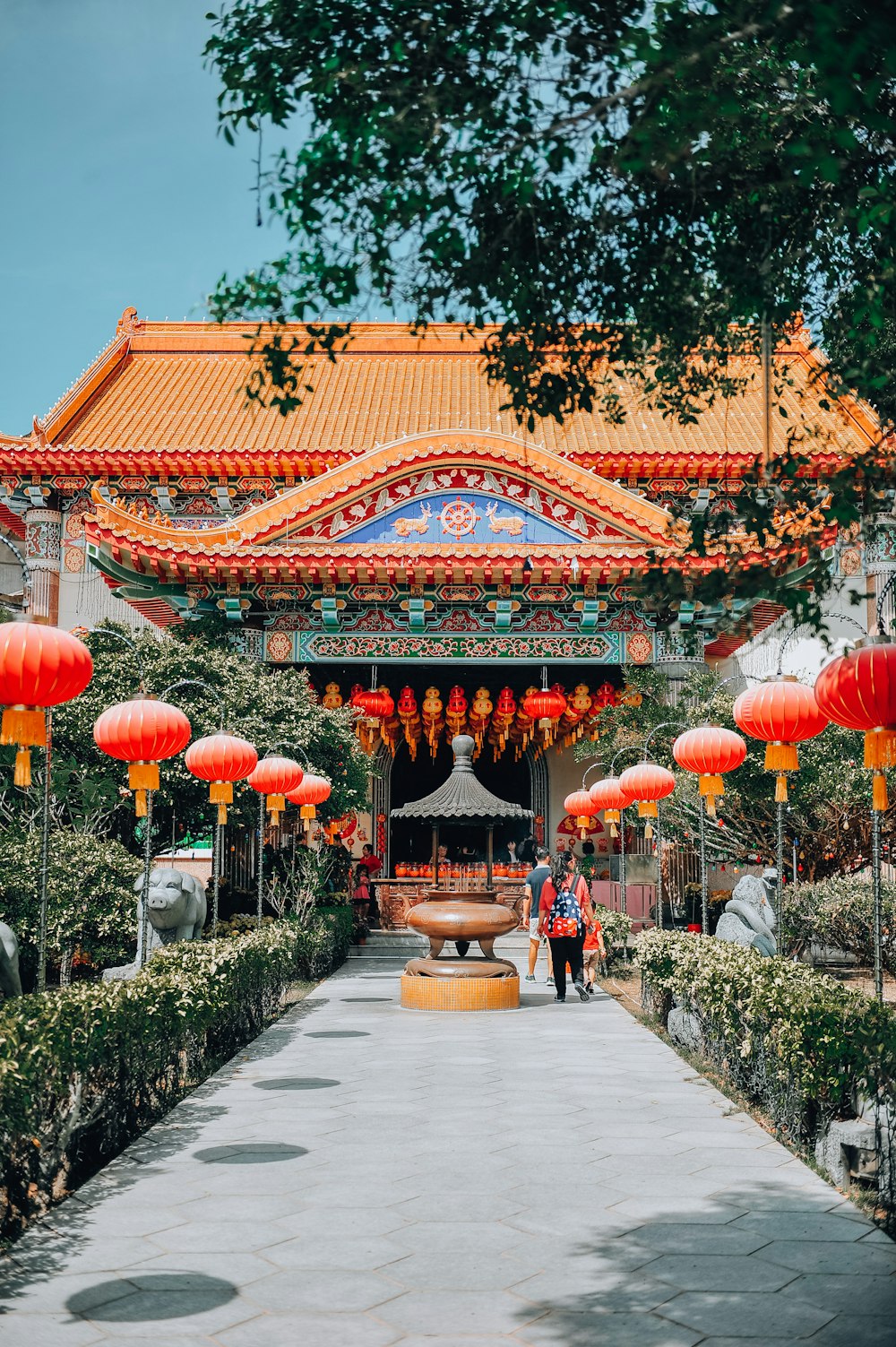 red chinese lanterns on green trees during daytime