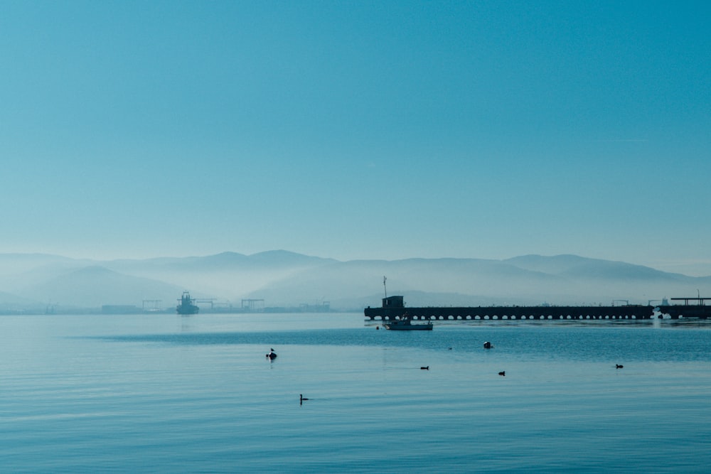 people on sea dock during daytime