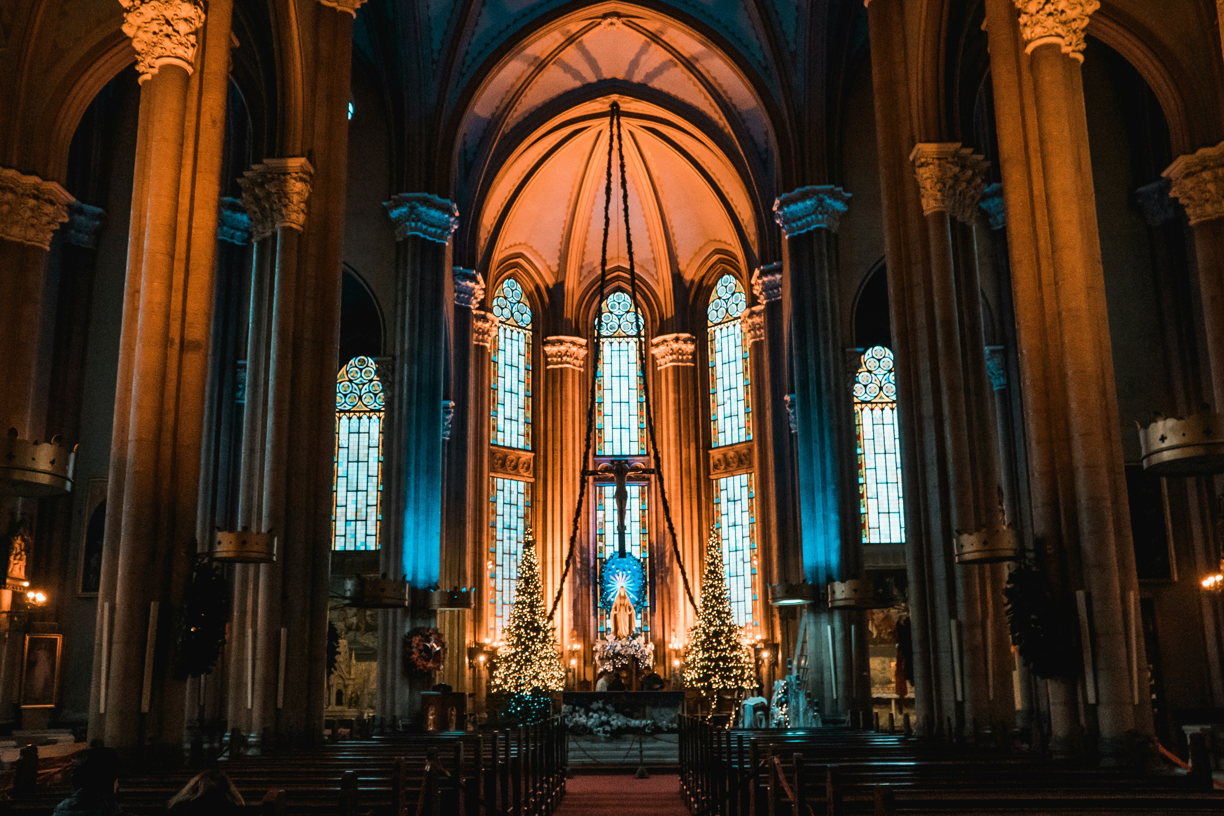 brown and white cathedral interior