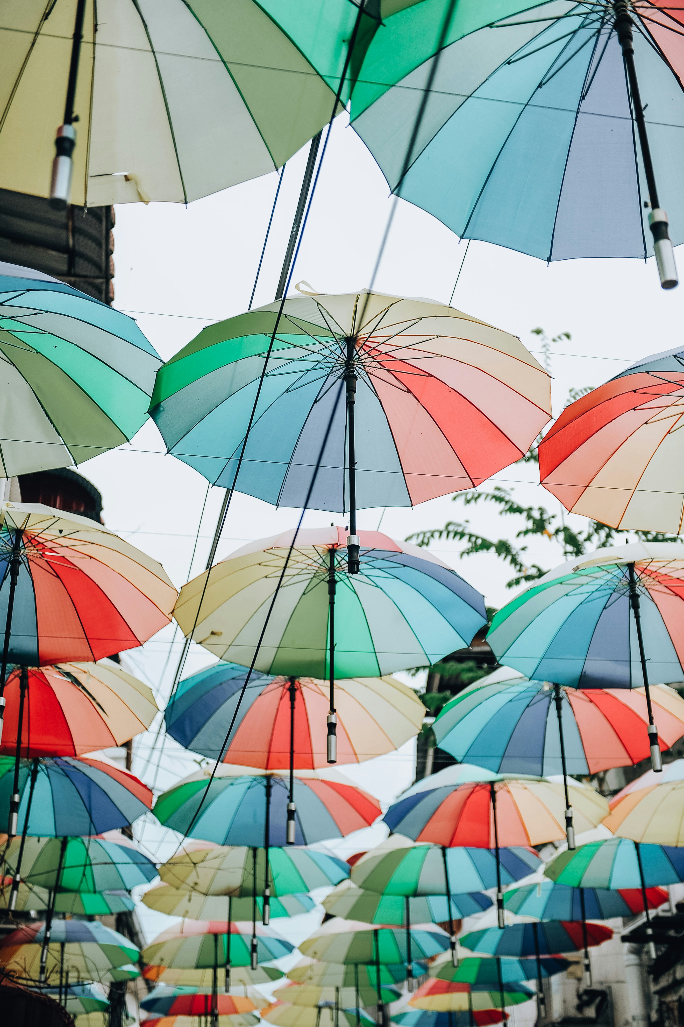 Photo by ger_aldinee