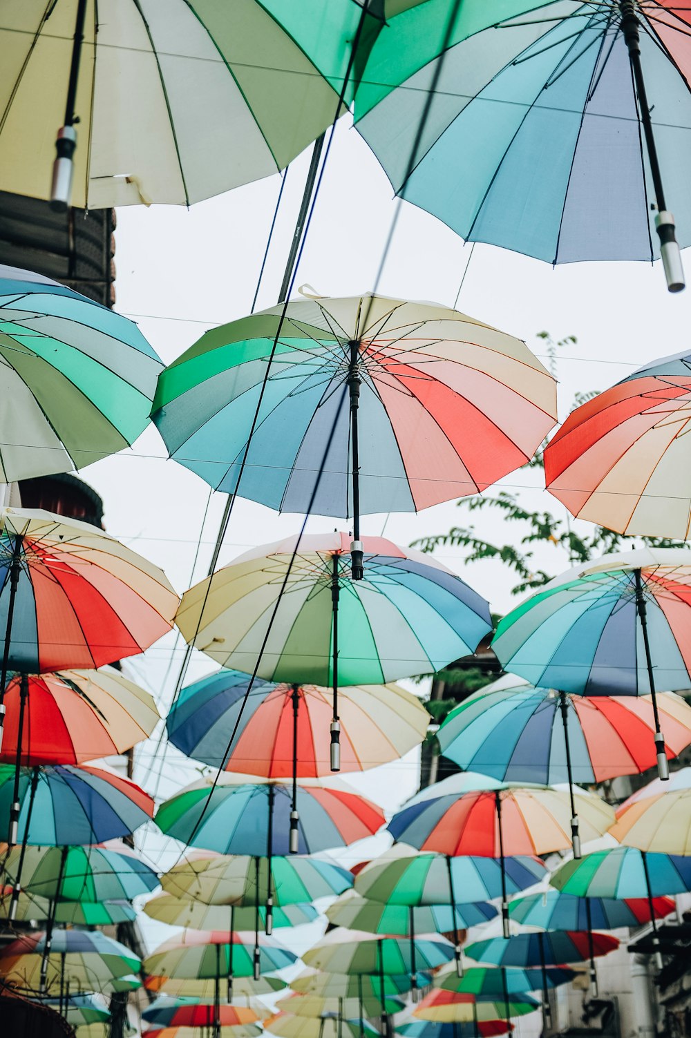 assorted umbrellas hanging on wire during daytime