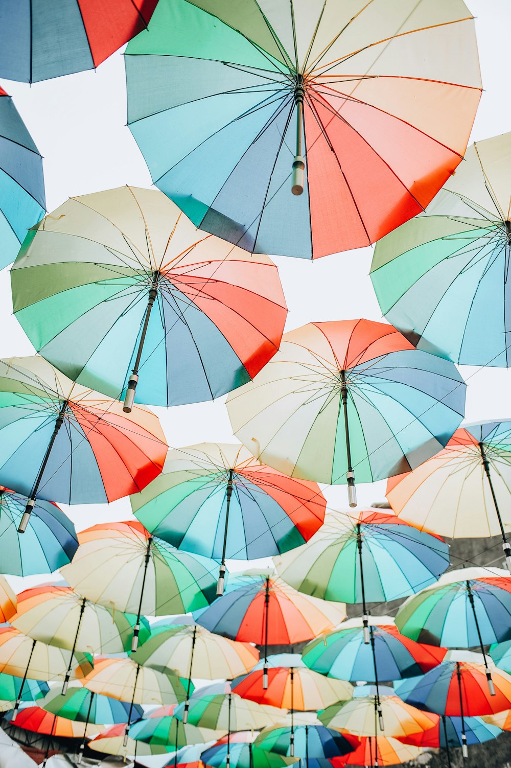 pink umbrellas hanging on white string during daytime