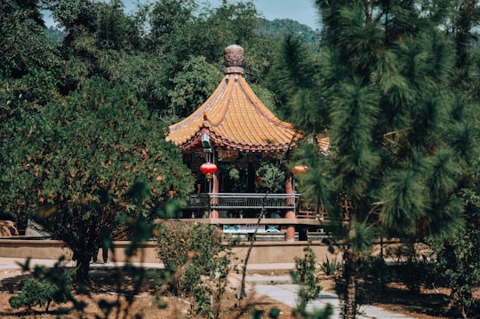 brown and red wooden temple surrounded by green trees during daytime in Penang Island Malaysia