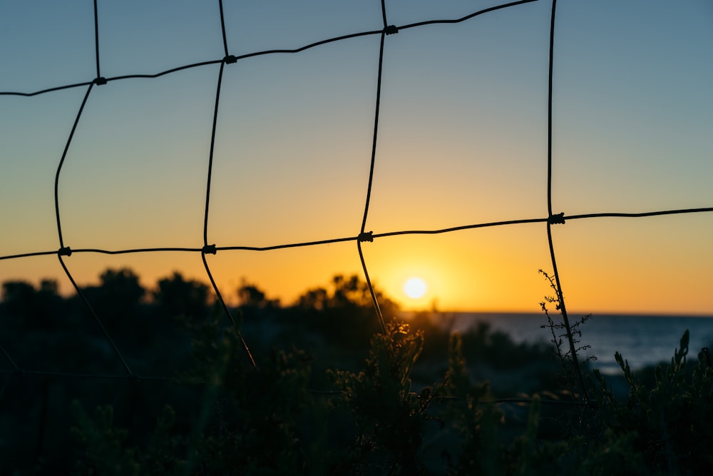 black wire fence during sunset