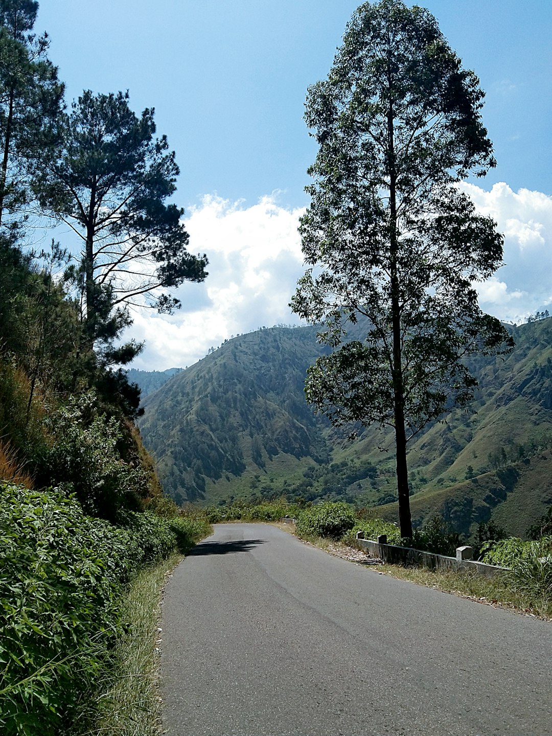 Hill station photo spot Tongging Samosir