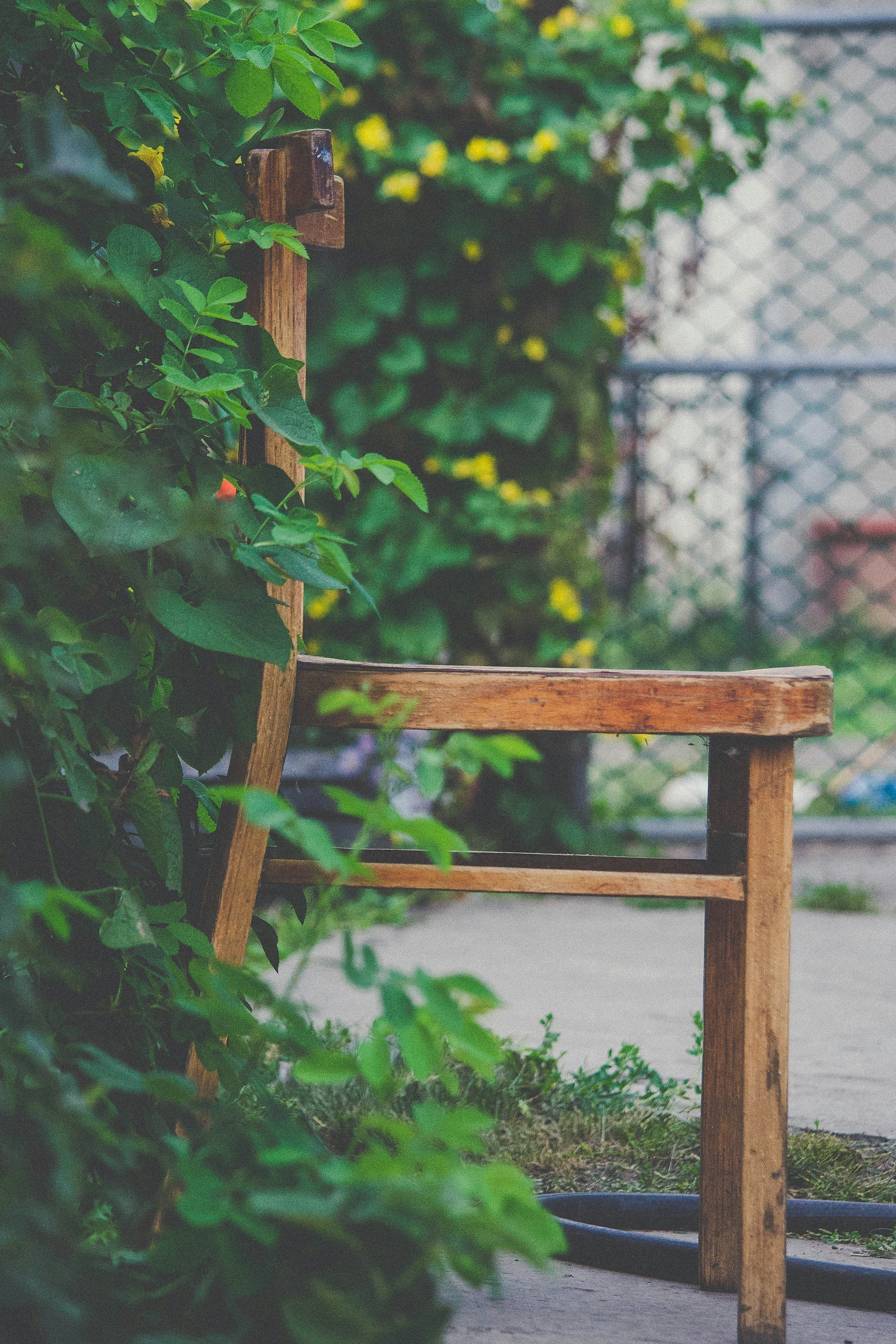 Photo by liastepanova