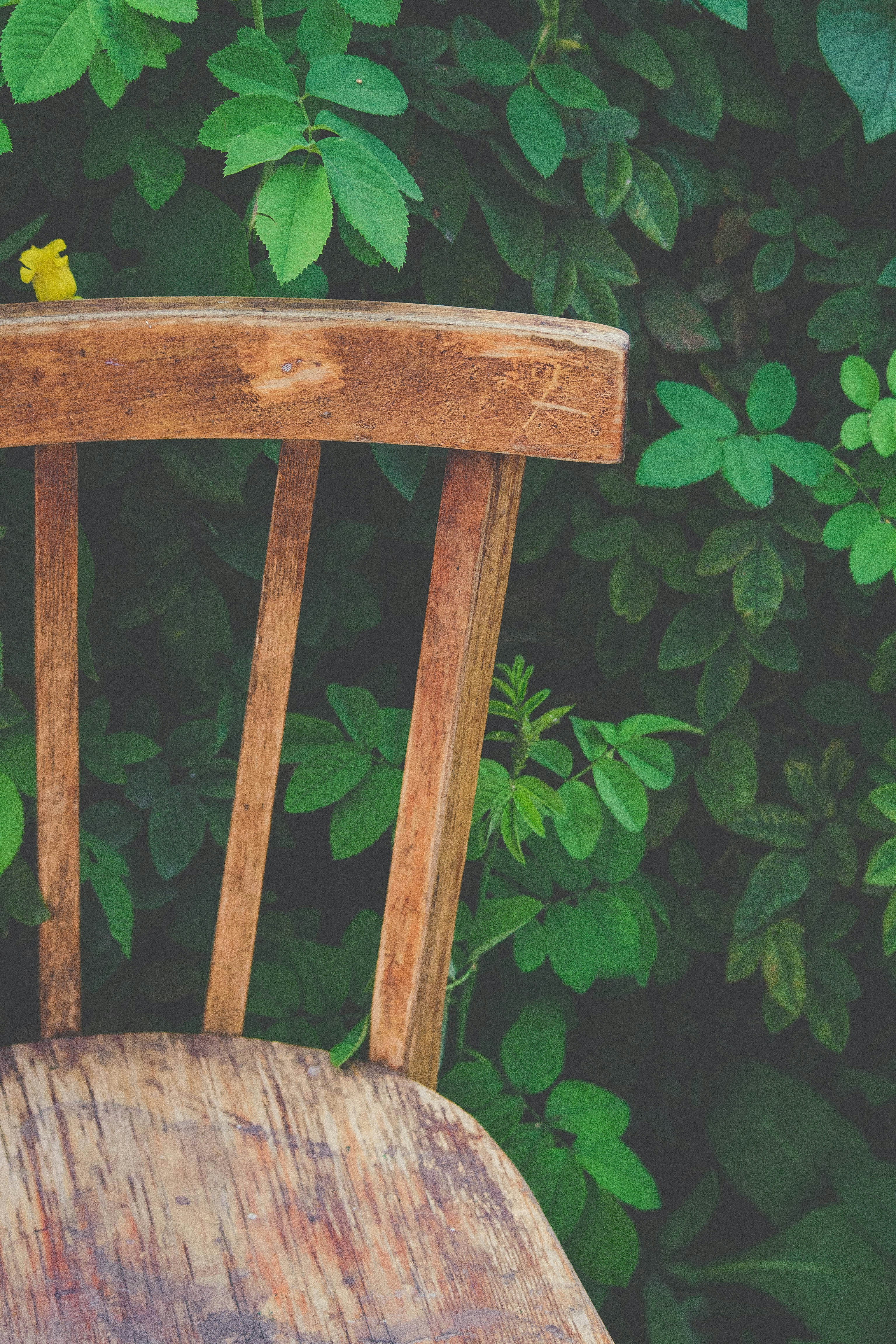 Photo by liastepanova