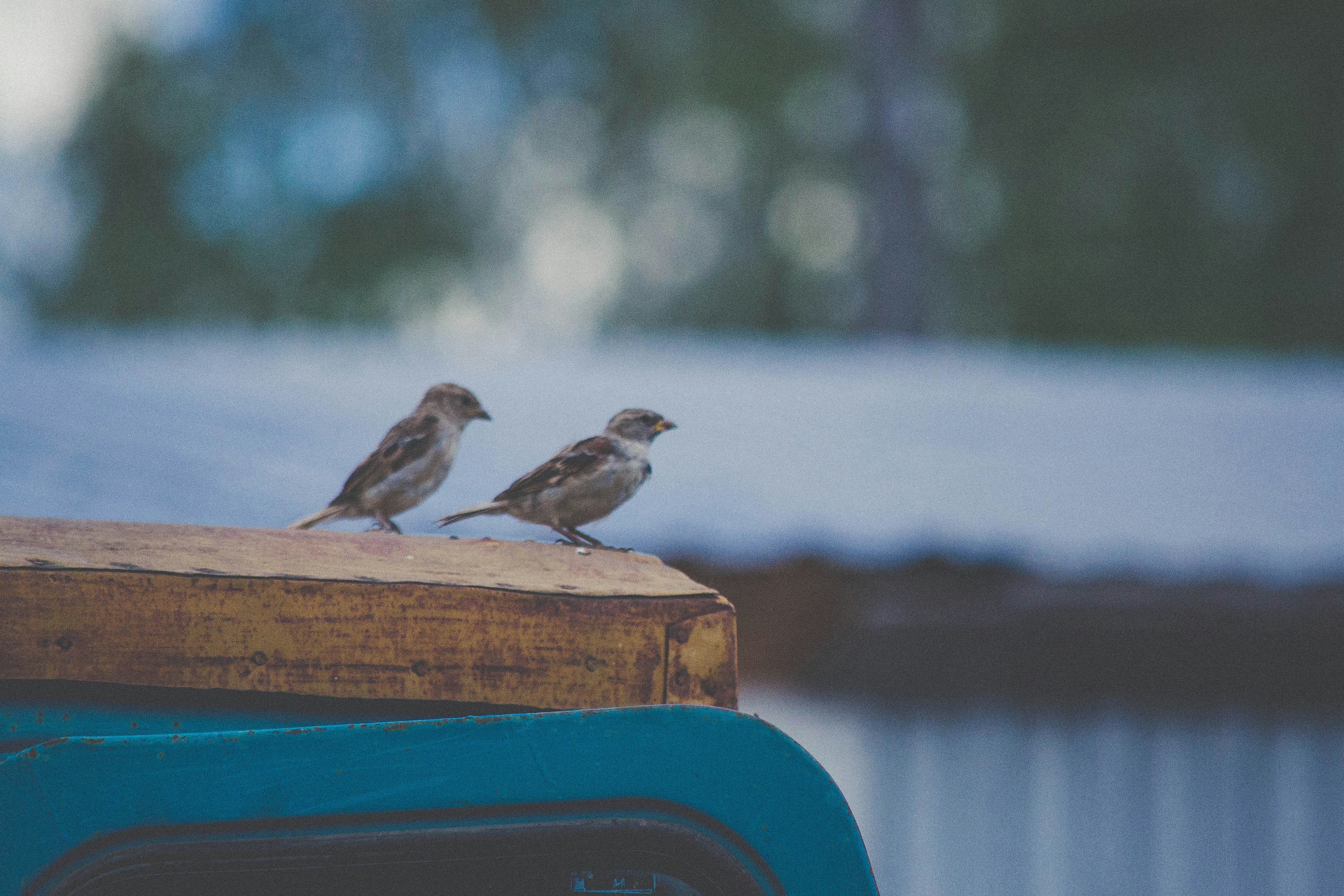 Photo by liastepanova