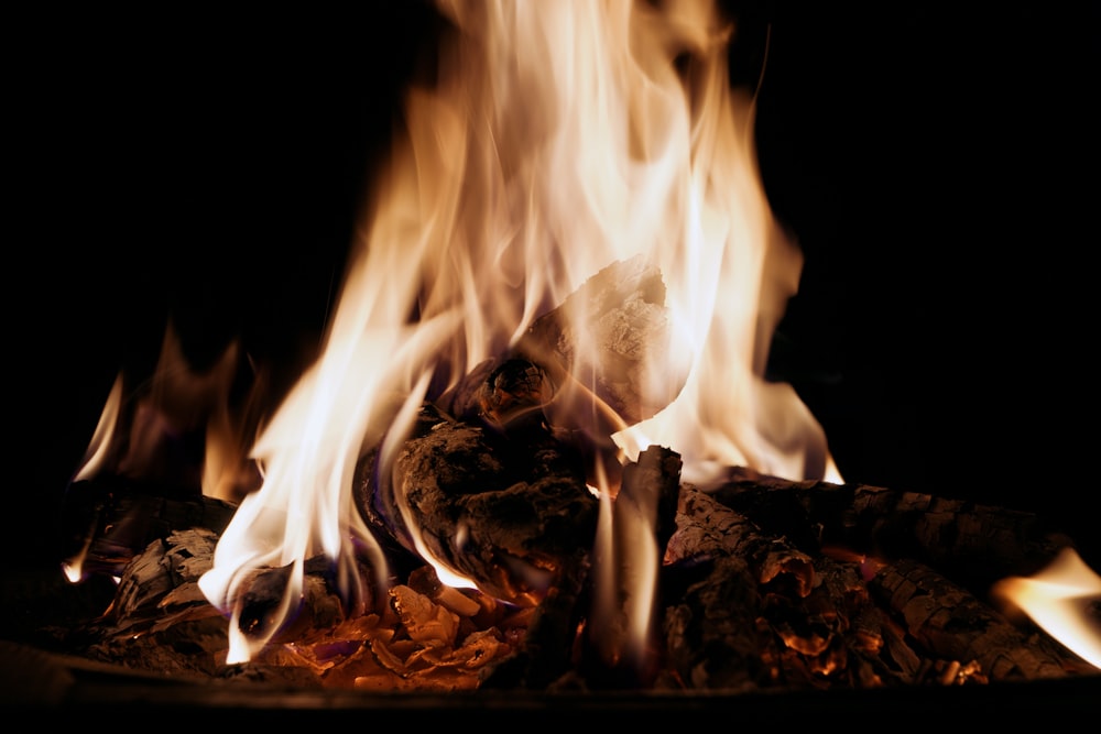 fire in brown wood log
