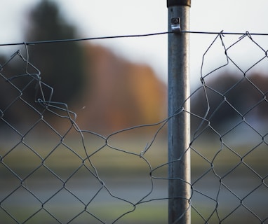 grey metal fence with barbwire