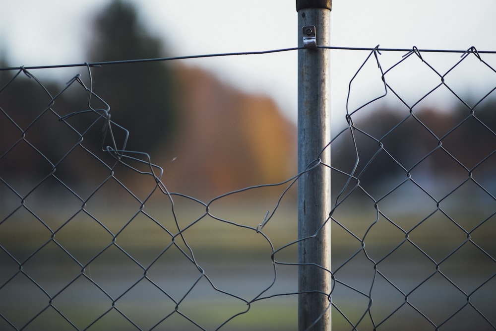 recinzione metallica grigia con filo spinato