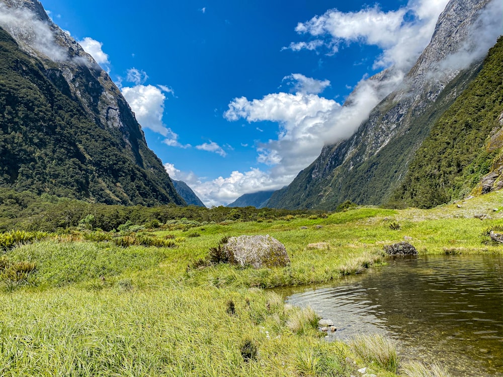 Champ d’herbe verte près du lac sous le ciel bleu pendant la journée