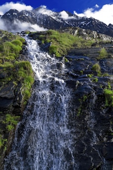 green grass and water falls