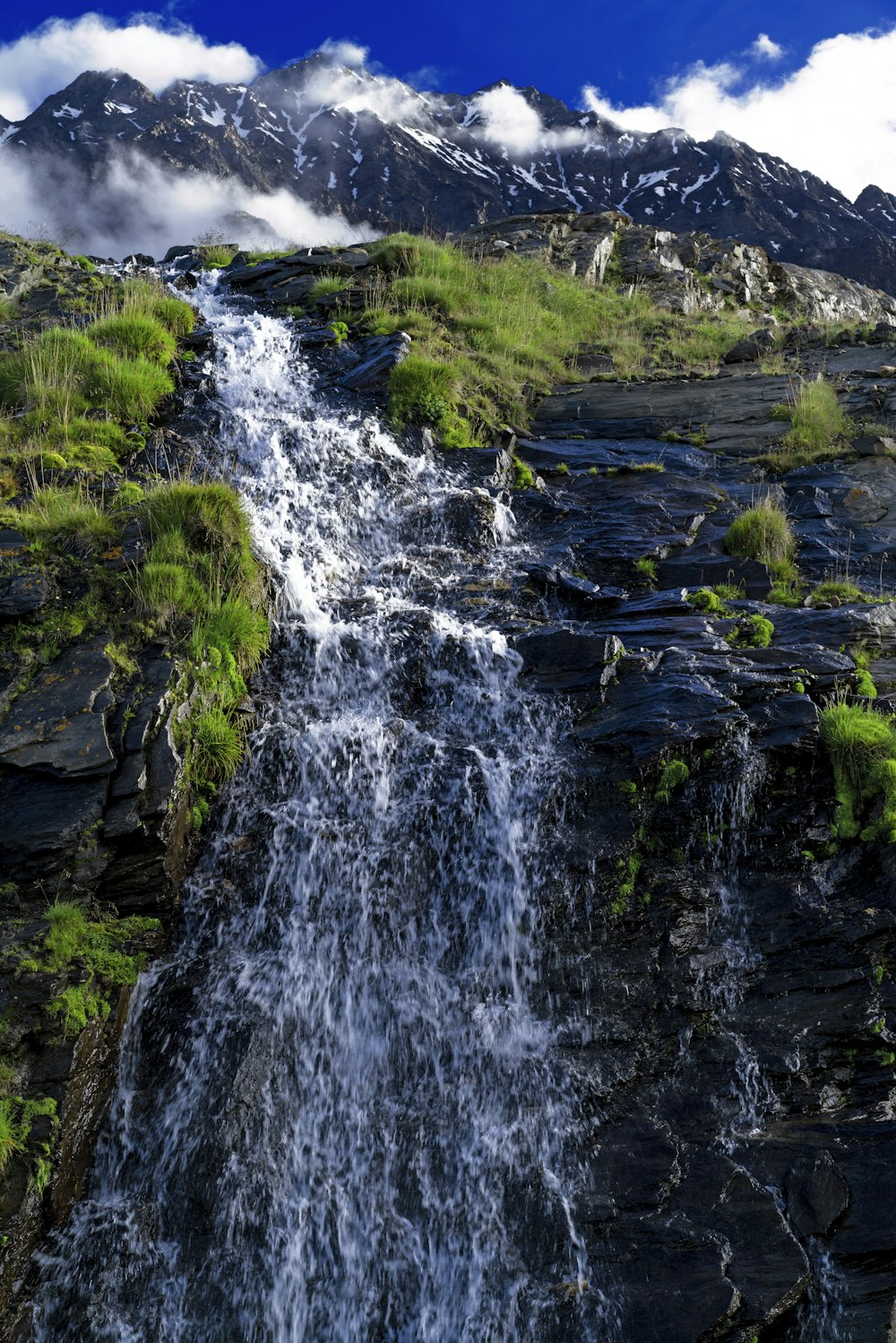 green grass and water falls