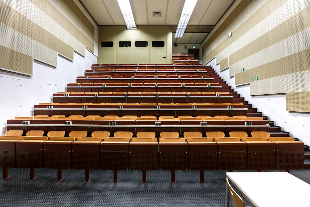 brown wooden chairs inside room