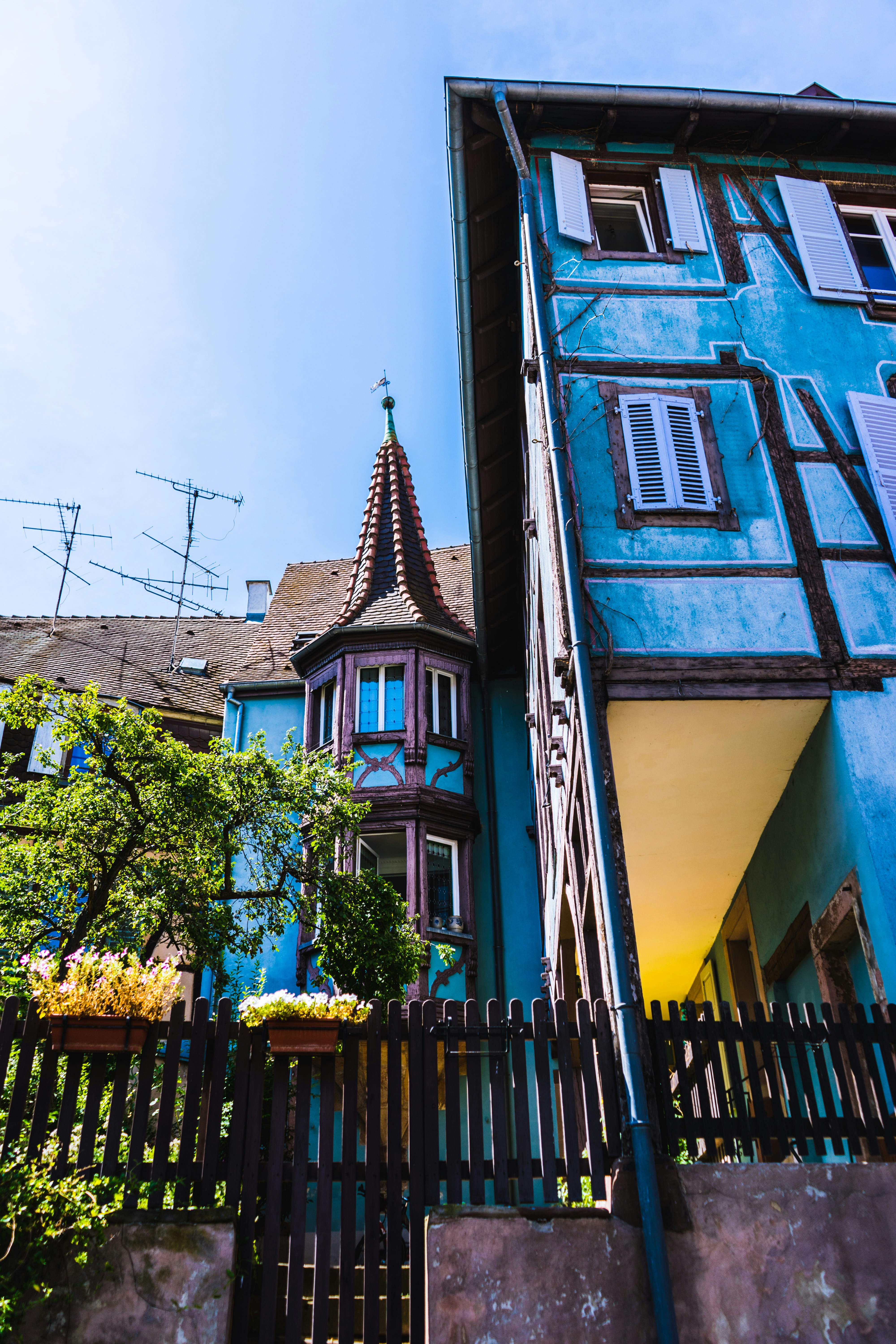 Photo by virussinside