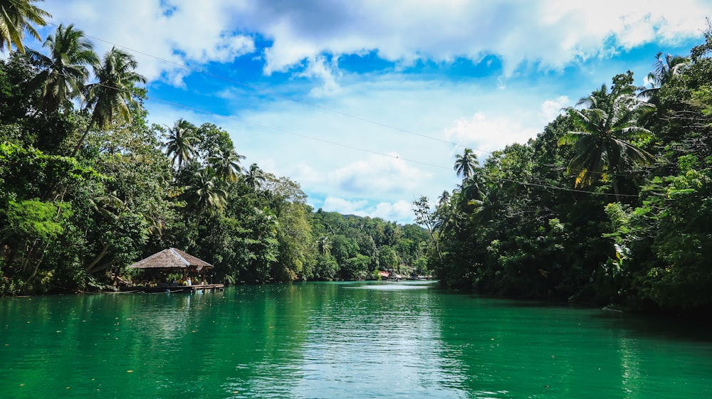 brown wooden house near green trees and river during daytime