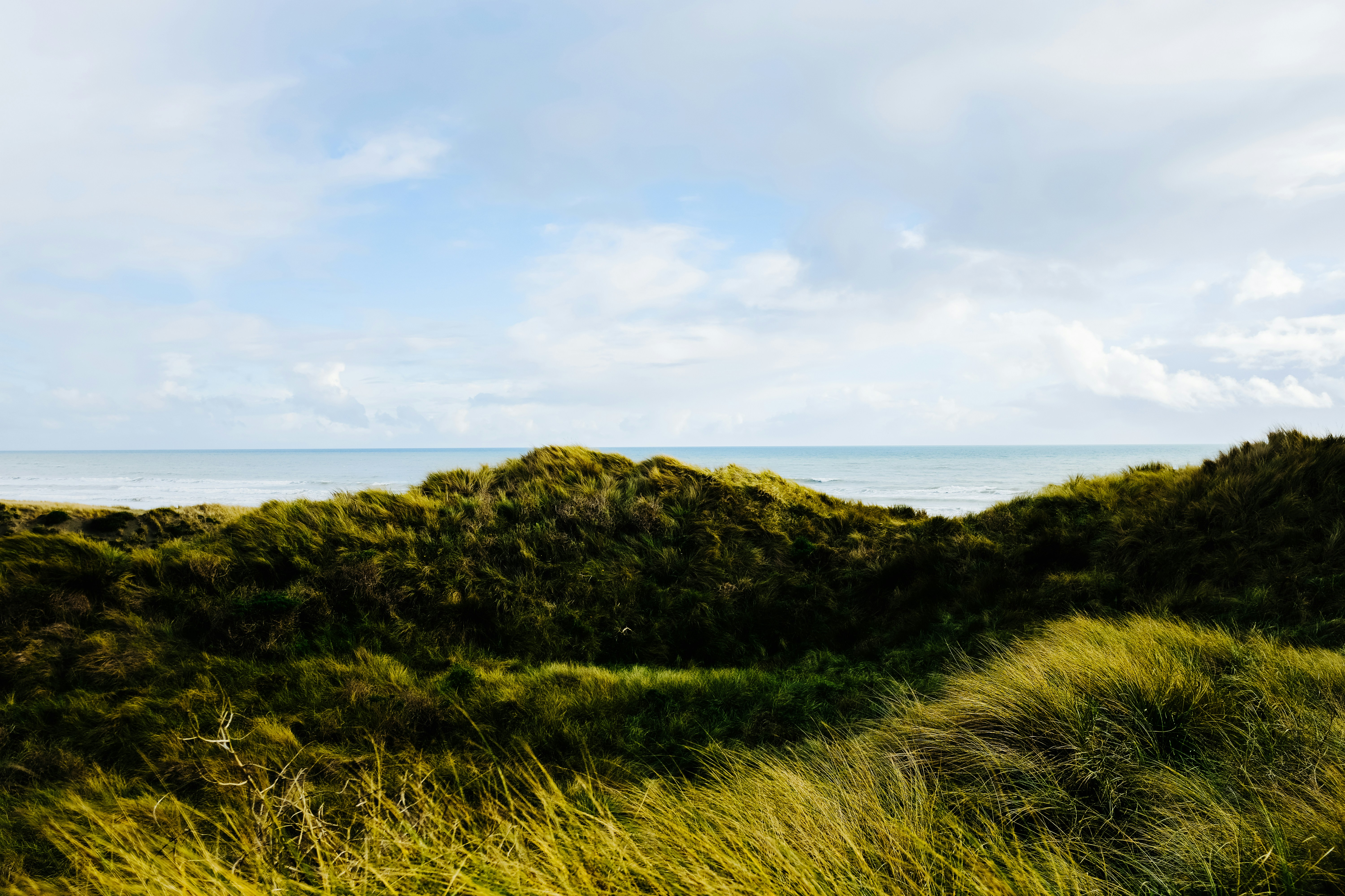 Photo by adrienolichon