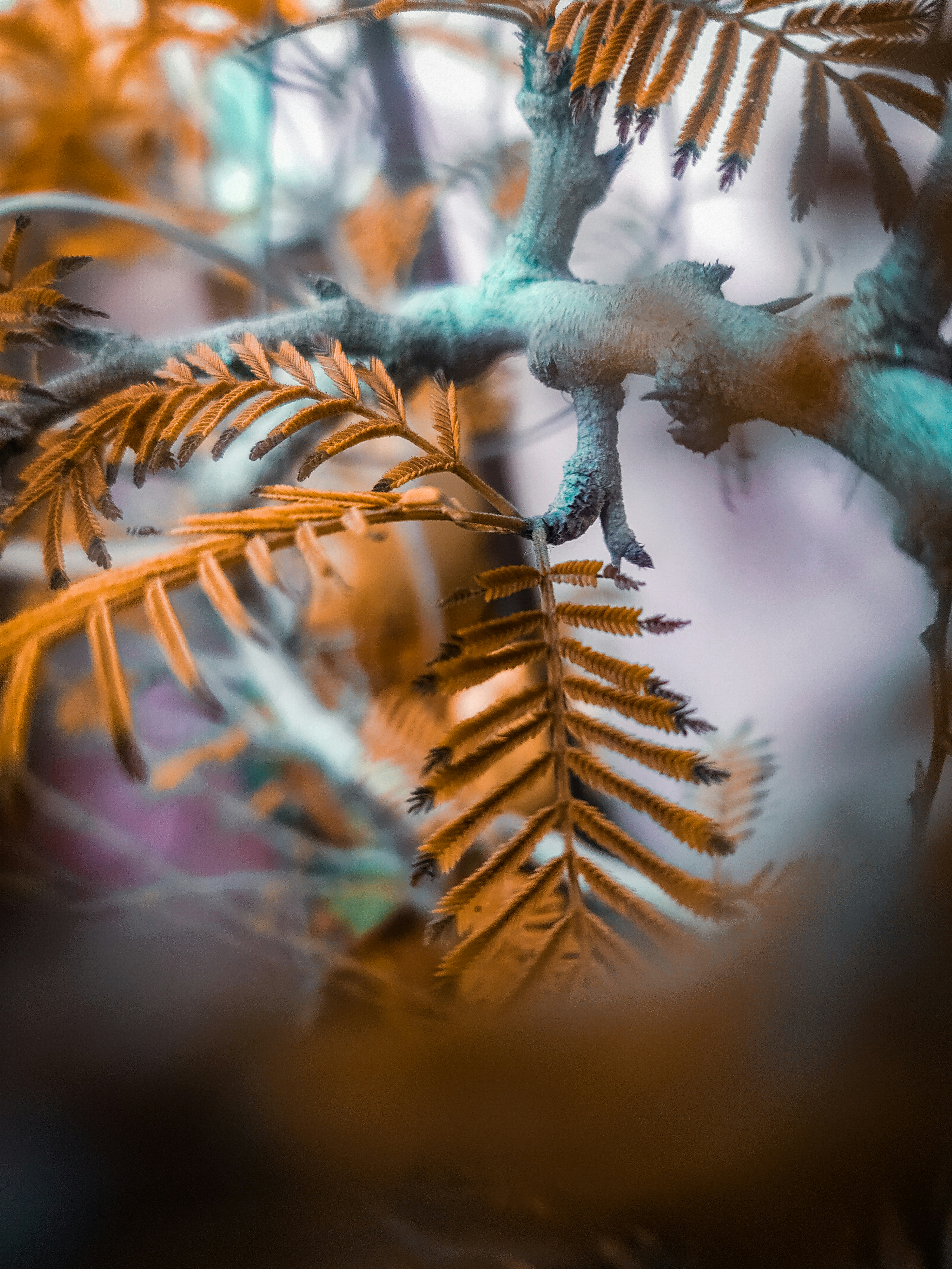 brown and green tree branch