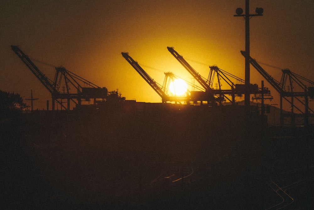 silhouette of crane during sunset