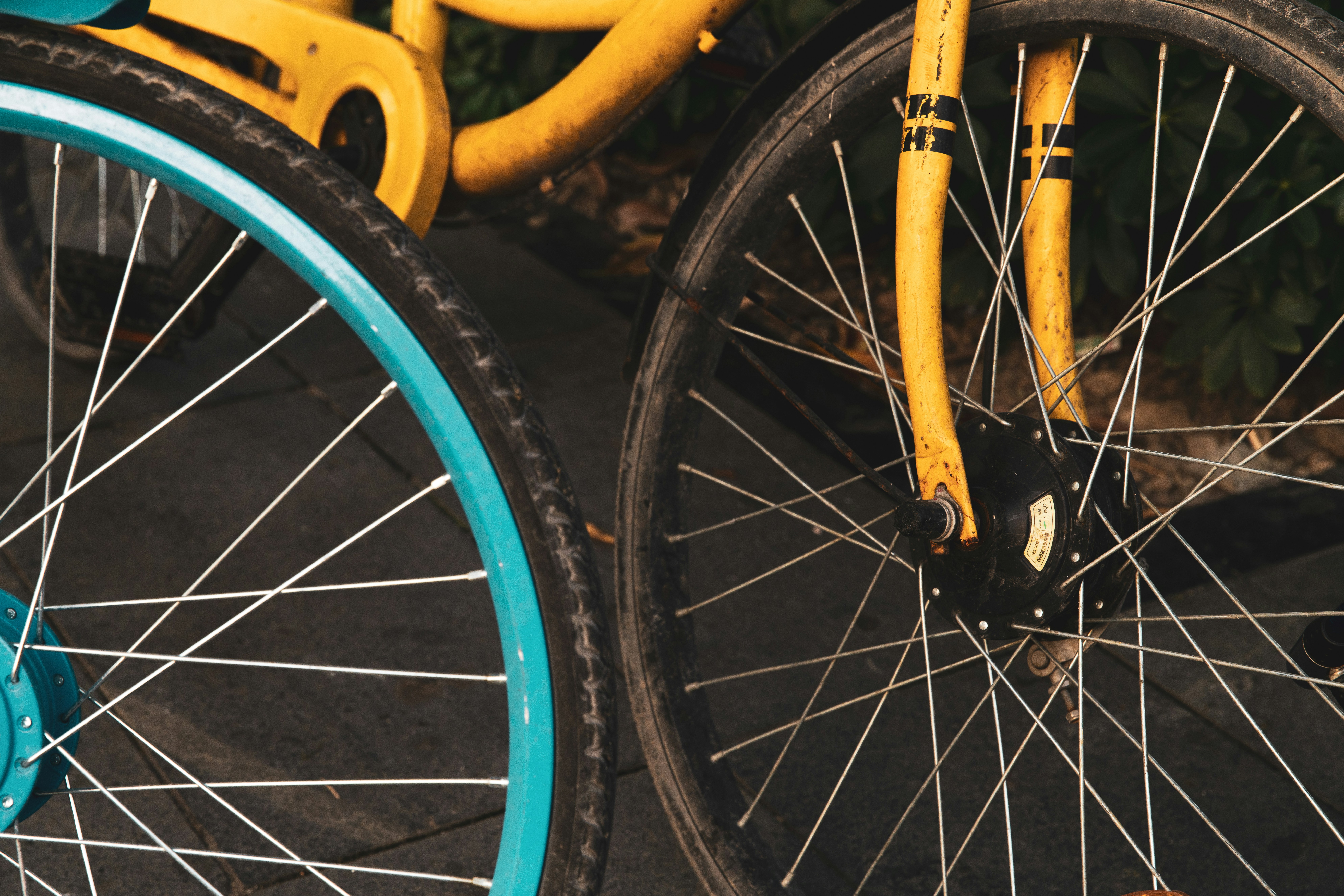 Photo by maybeimdreaming