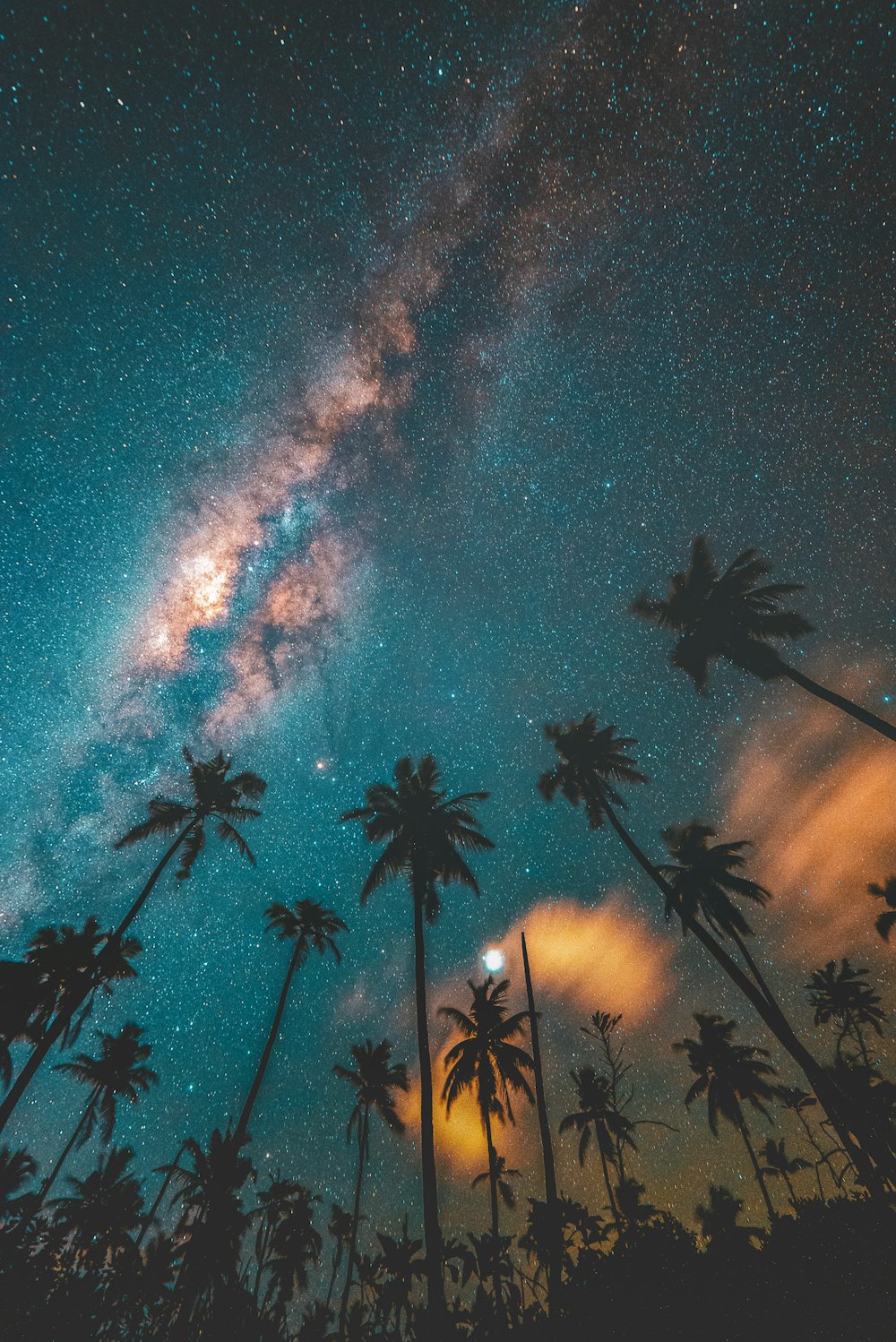 夕暮れ時の星空と青空の下の木のシルエット