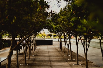 people walking on wooden dock during daytime