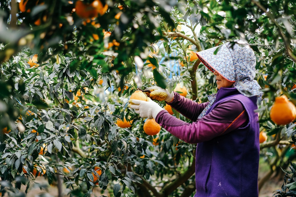 donna in camicia a maniche lunghe viola che tiene frutta arancione durante il giorno