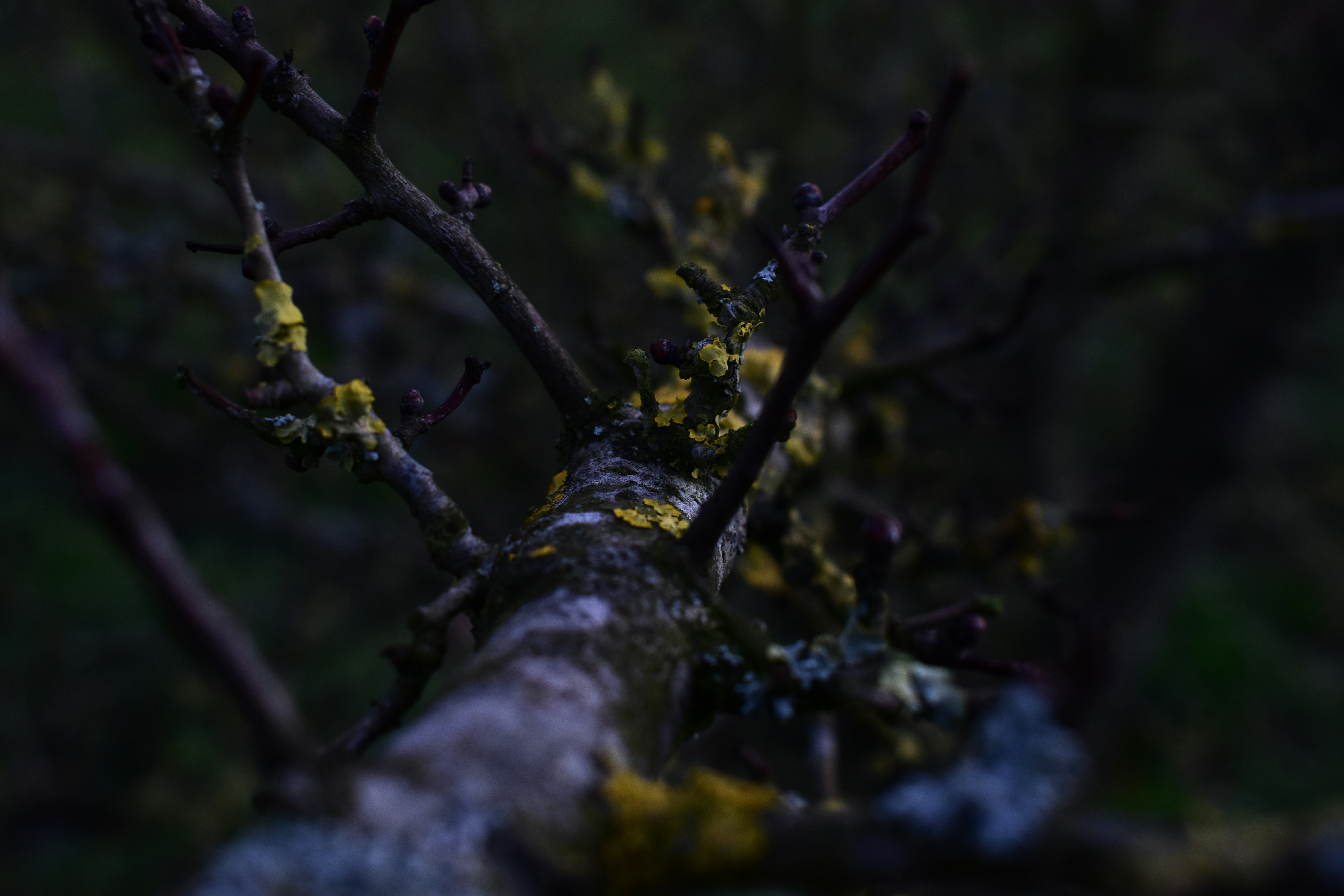 Photo by welcometojo_