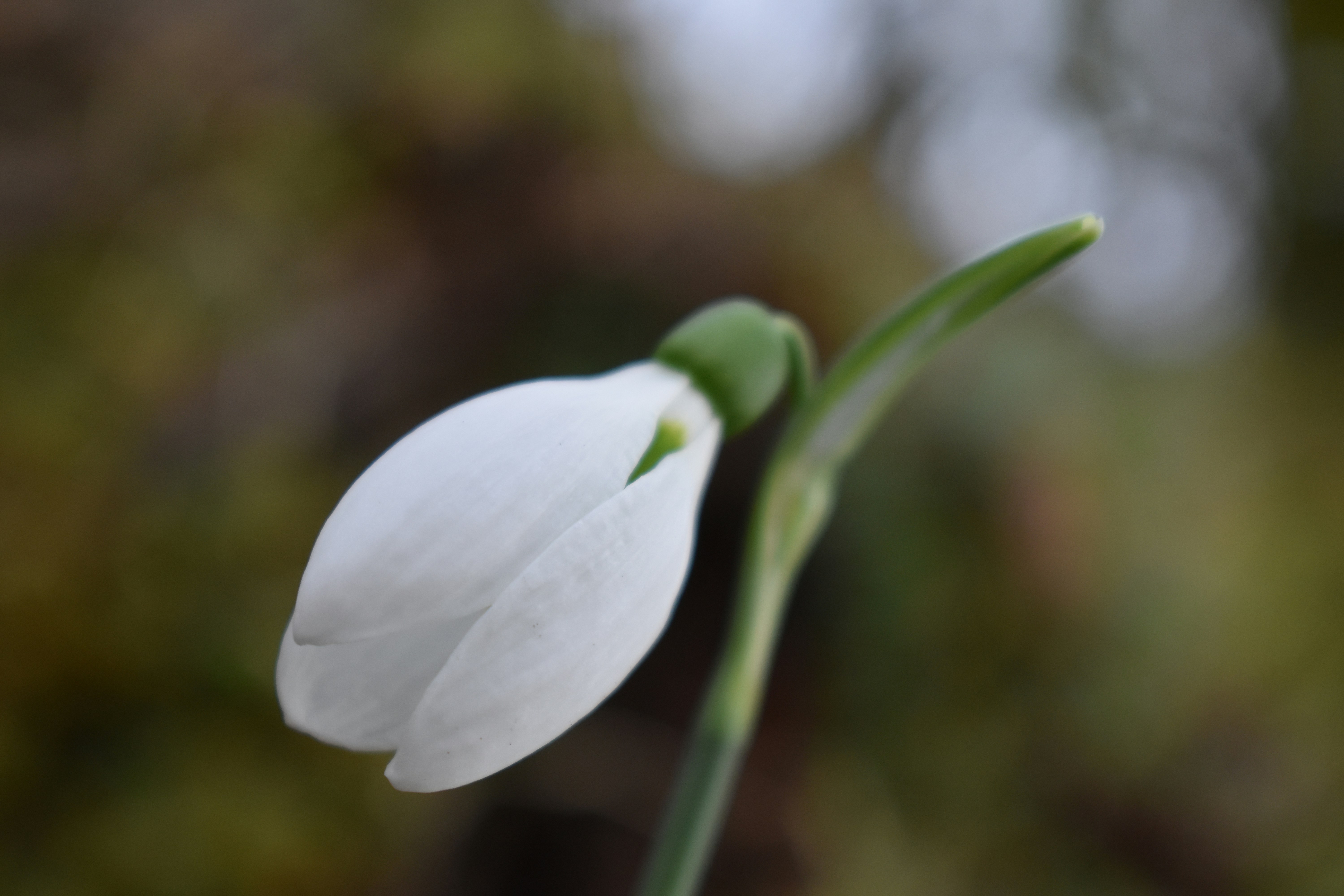 Photo by welcometojo_