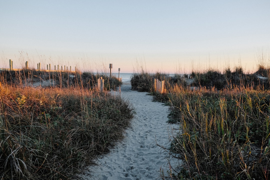 sandy beach path to beach brown grass Charleston sc SEO company