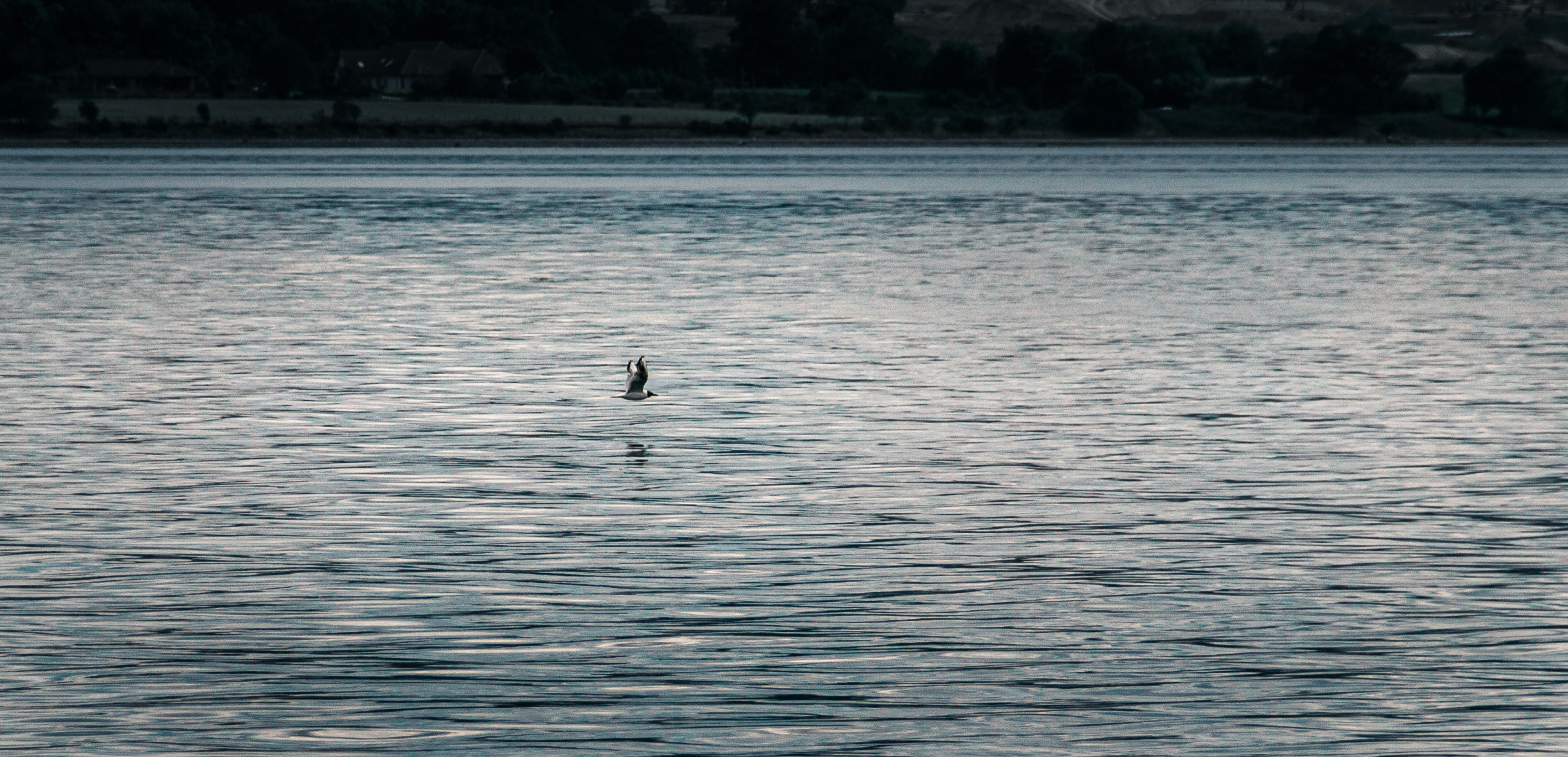 Photo by emilie_crssrd