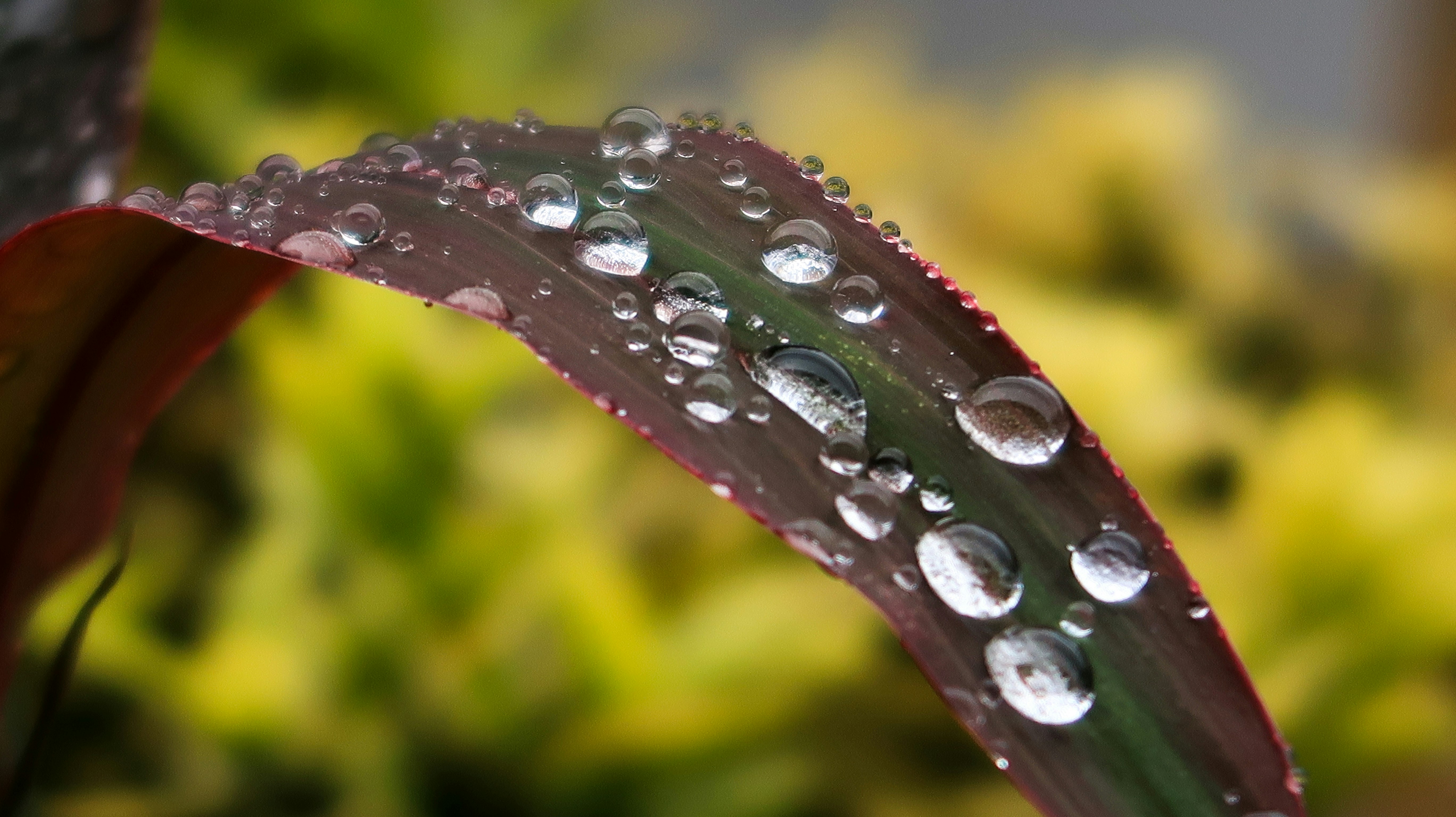 Photo by namu_photograph