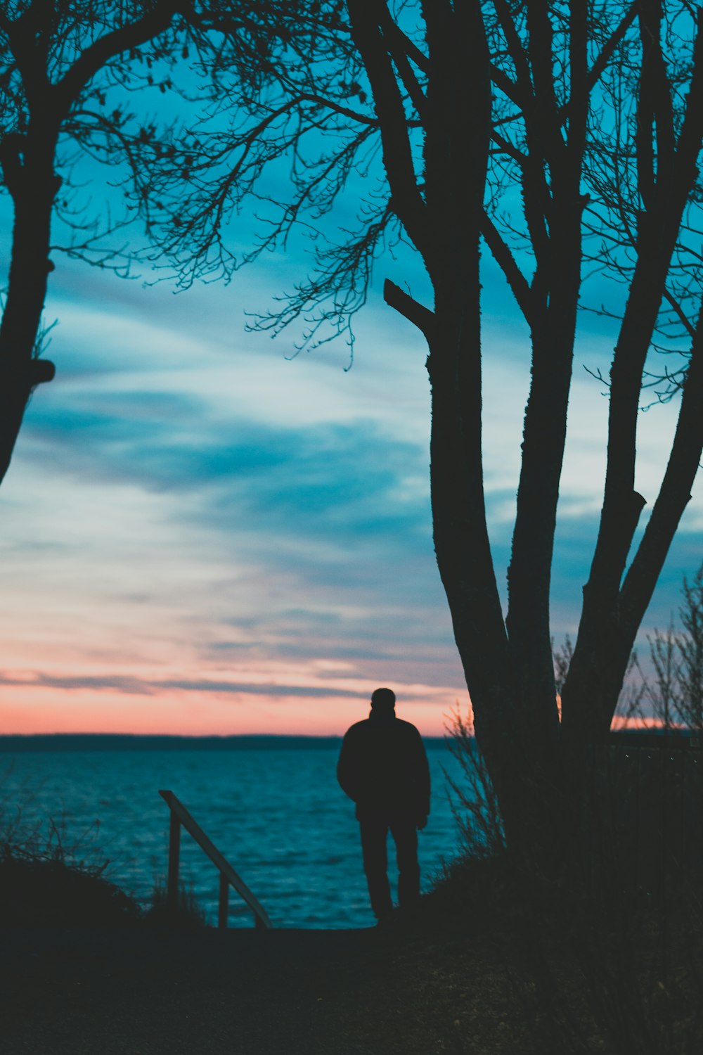 silhouette of man standing near tree during sunset