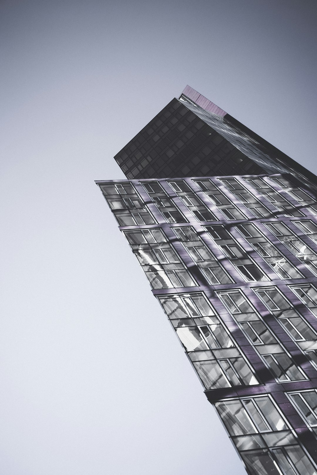 purple and white high rise building