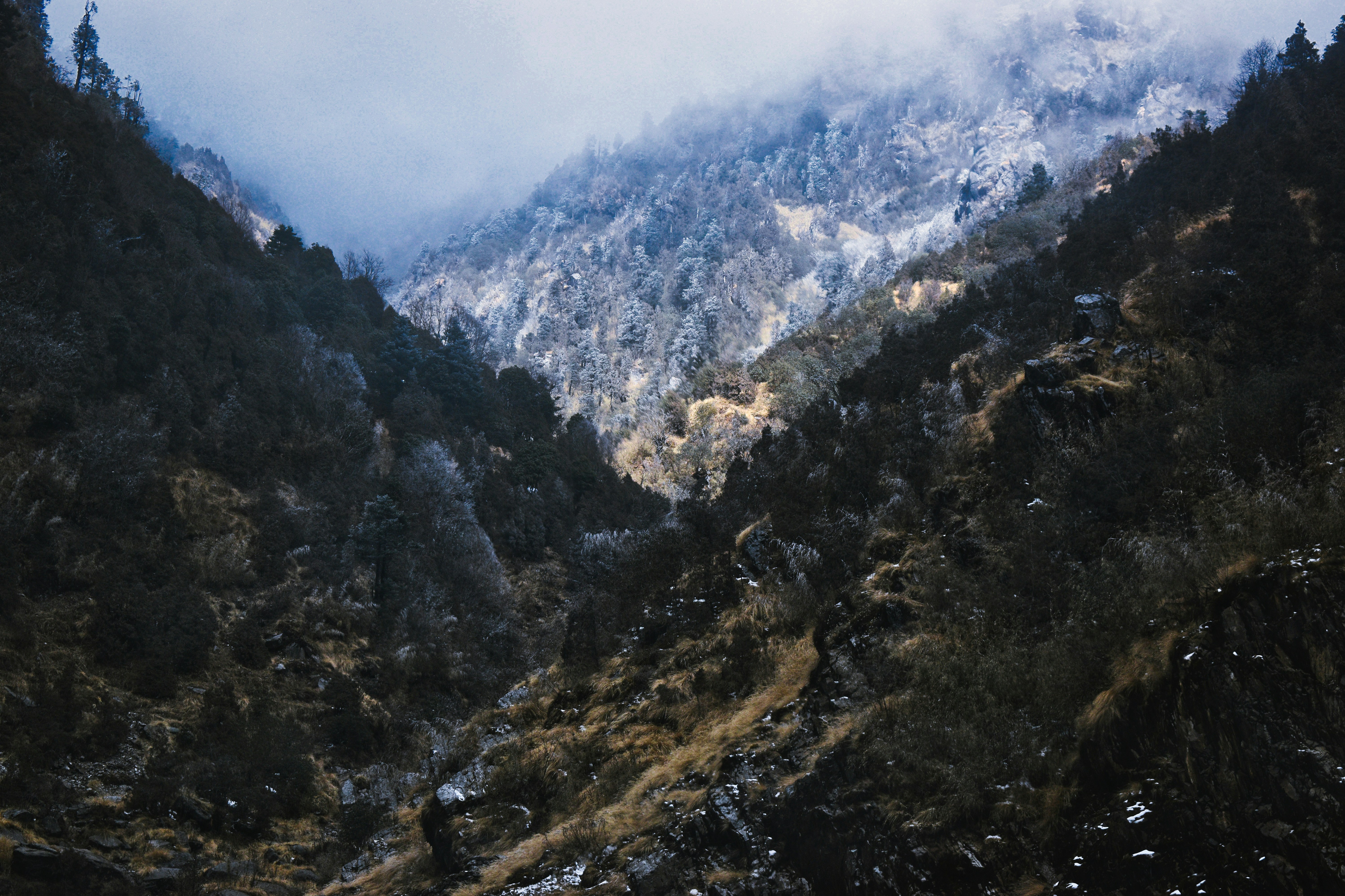 Photo by amitasaurus
