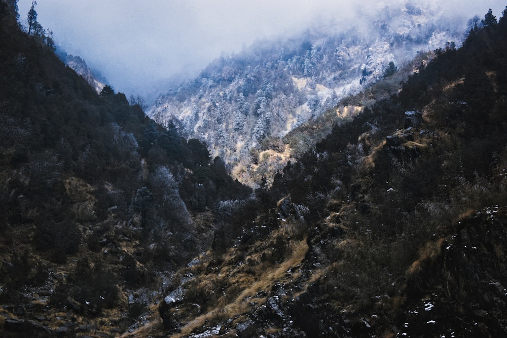 green and gray mountains under white sky during daytime