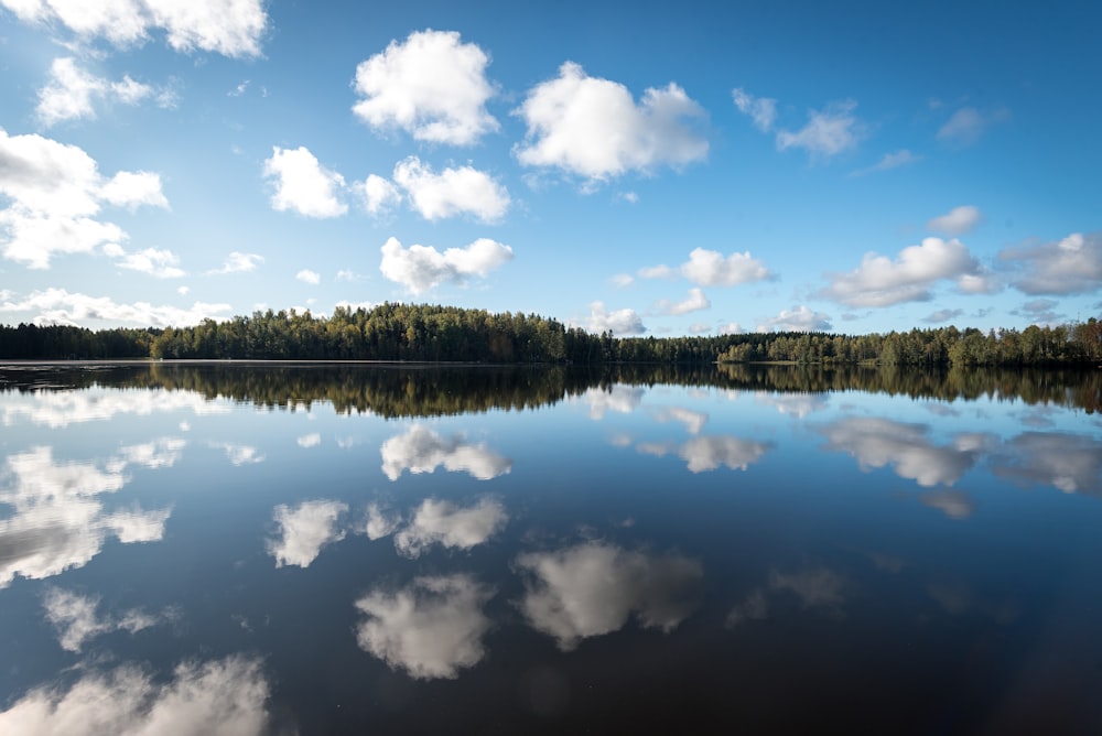 alberi verdi accanto al lago sotto il cielo blu e le nuvole bianche durante il giorno