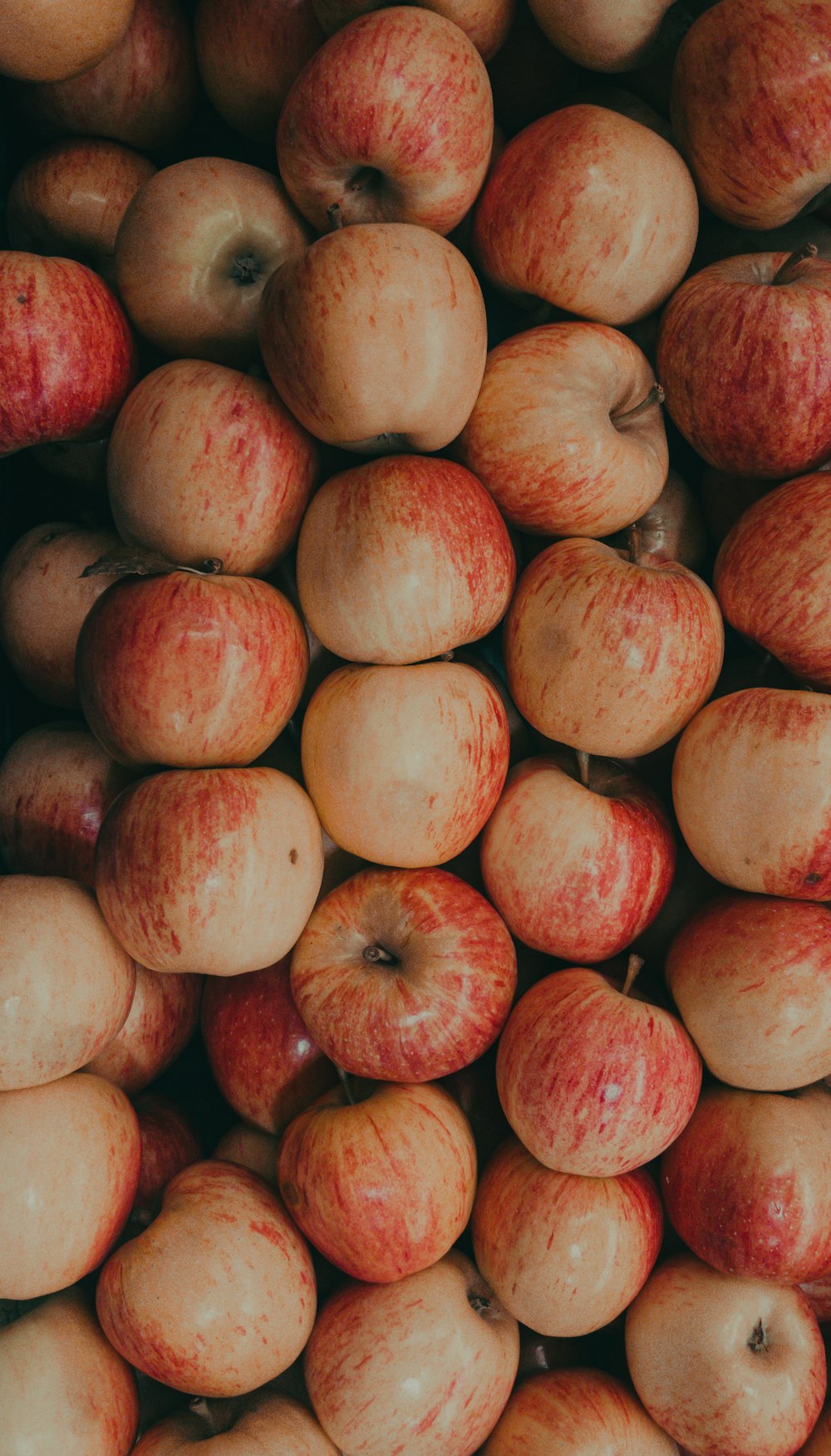 red apples on white surface