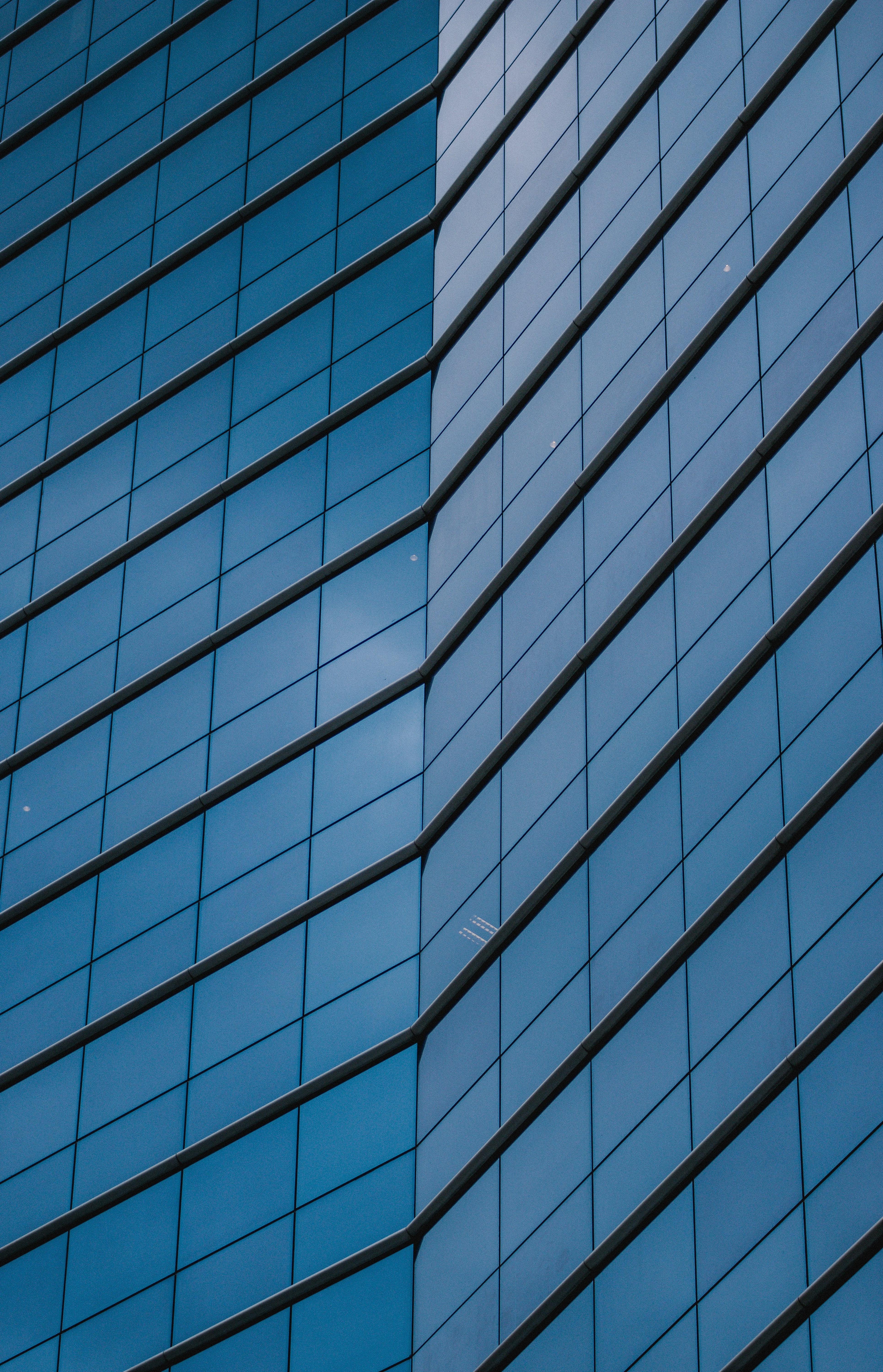 Photo by mauriciosabino